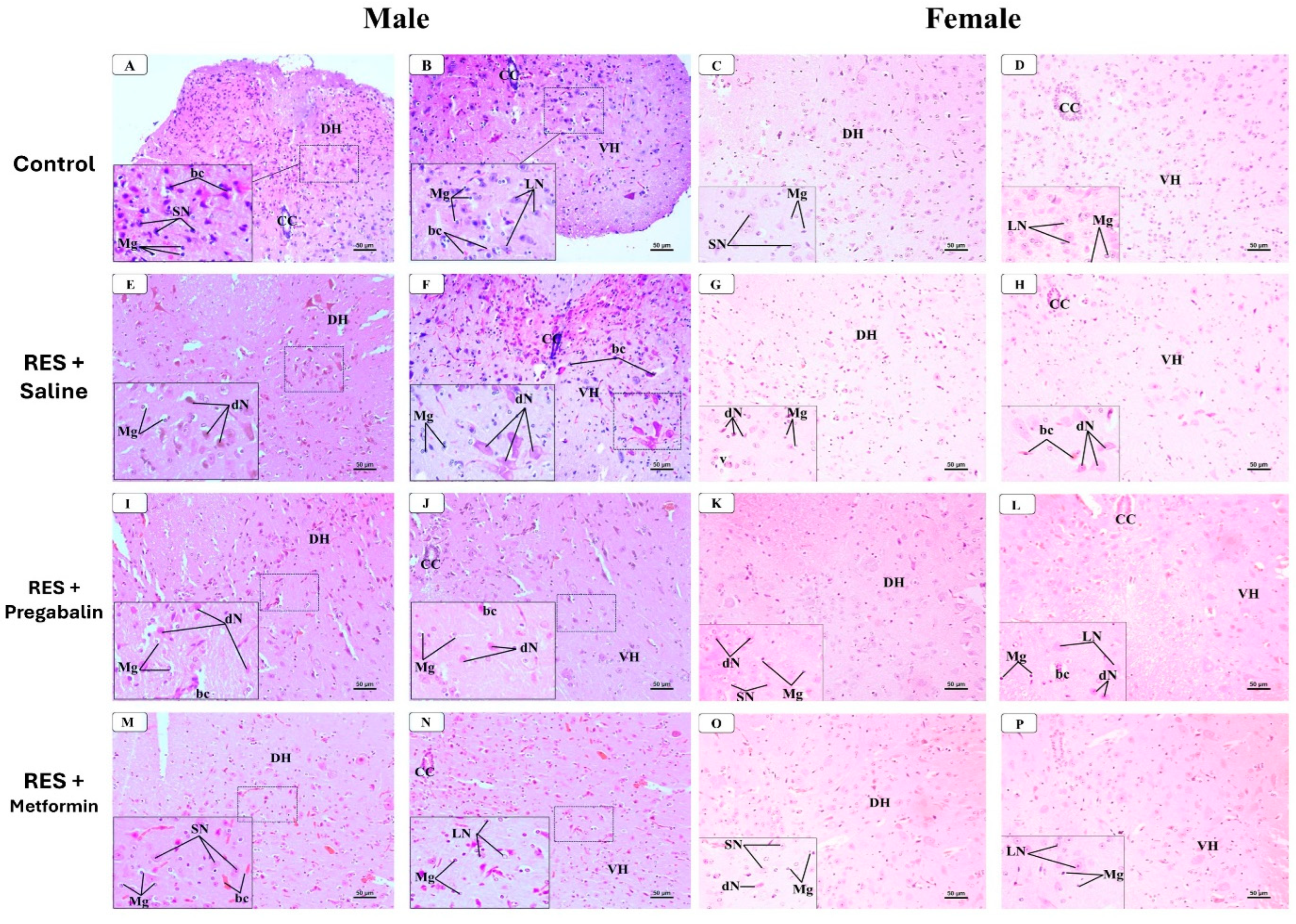 Cells 13 01986 g012 Cells 13 01986 g012