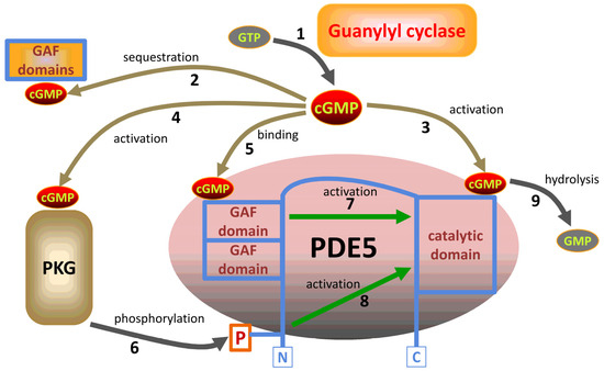 Highly Efficient Hydrogenation of Guaiacol over Ru/Al2O3