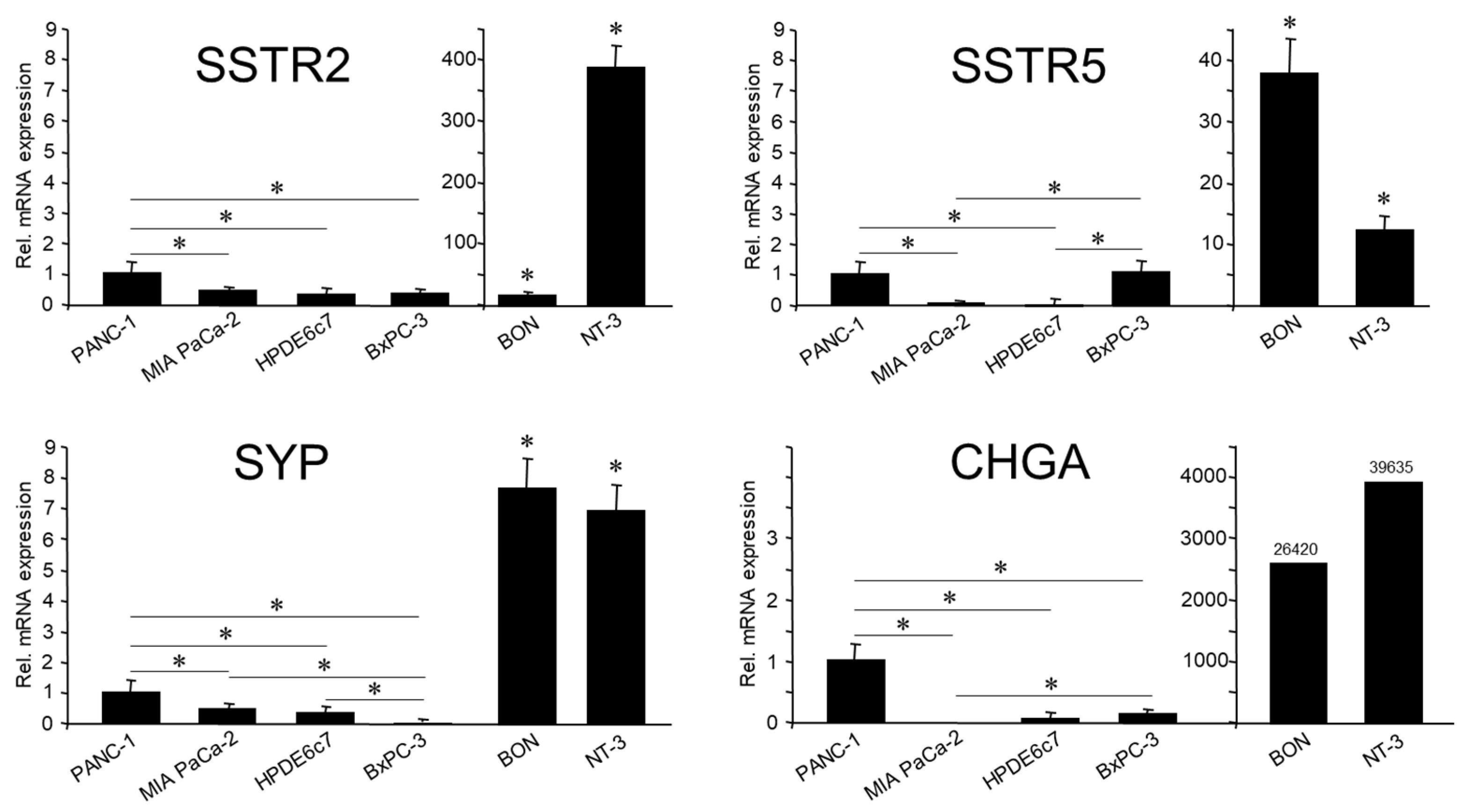 Cells 13 02010 g001 Cells 13 02010 g001