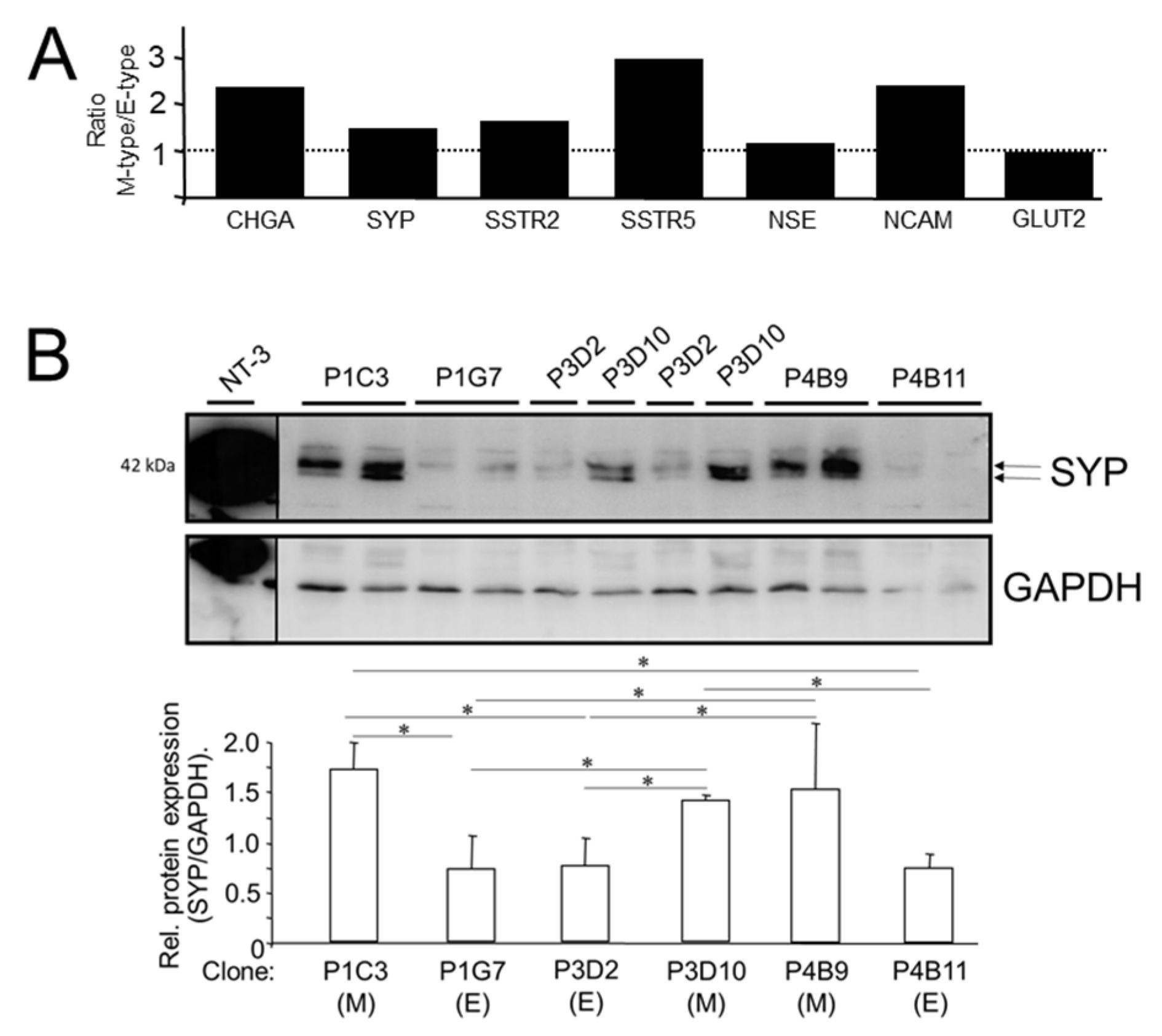 Cells 13 02010 g002 Cells 13 02010 g002