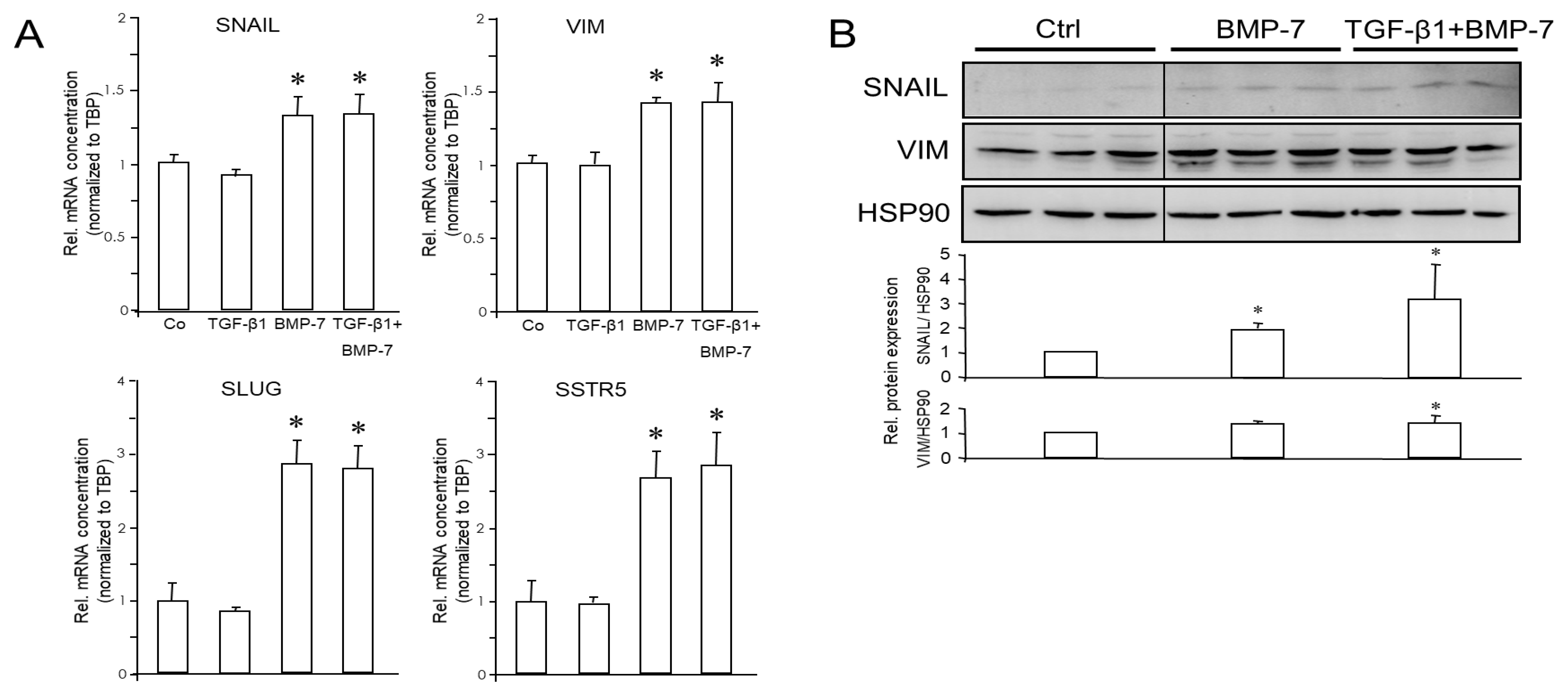 Cells 13 02010 g005 Cells 13 02010 g005