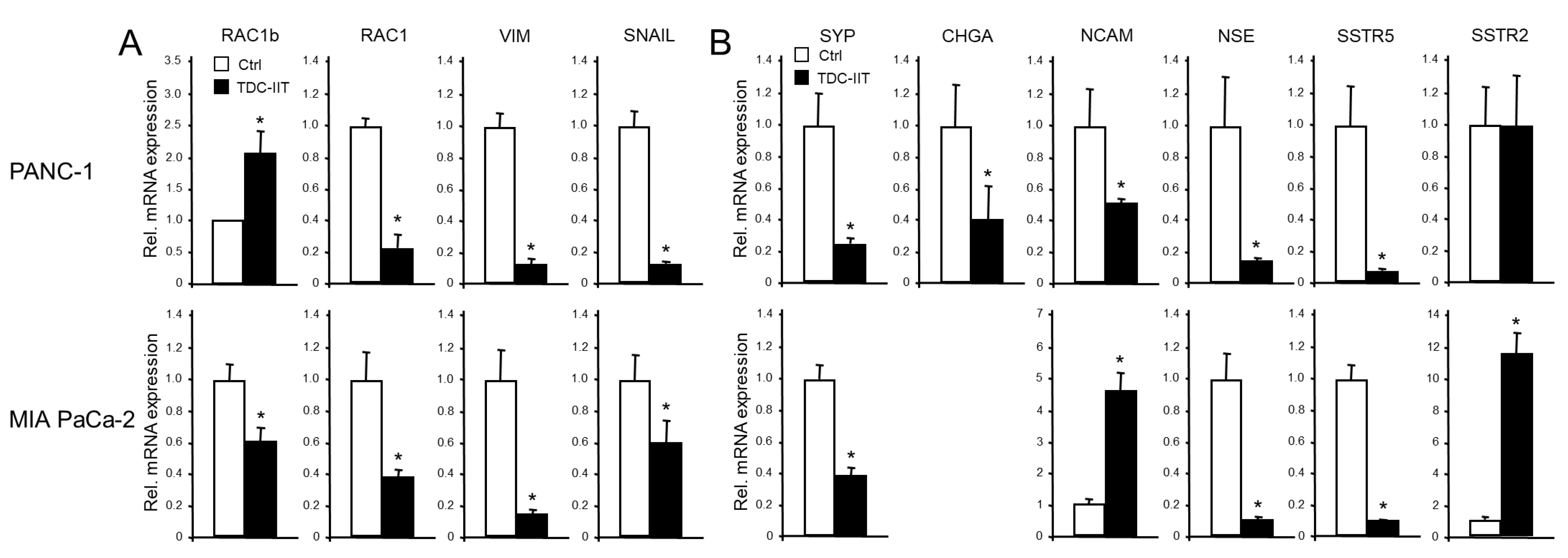 Cells 13 02010 g007 Cells 13 02010 g007