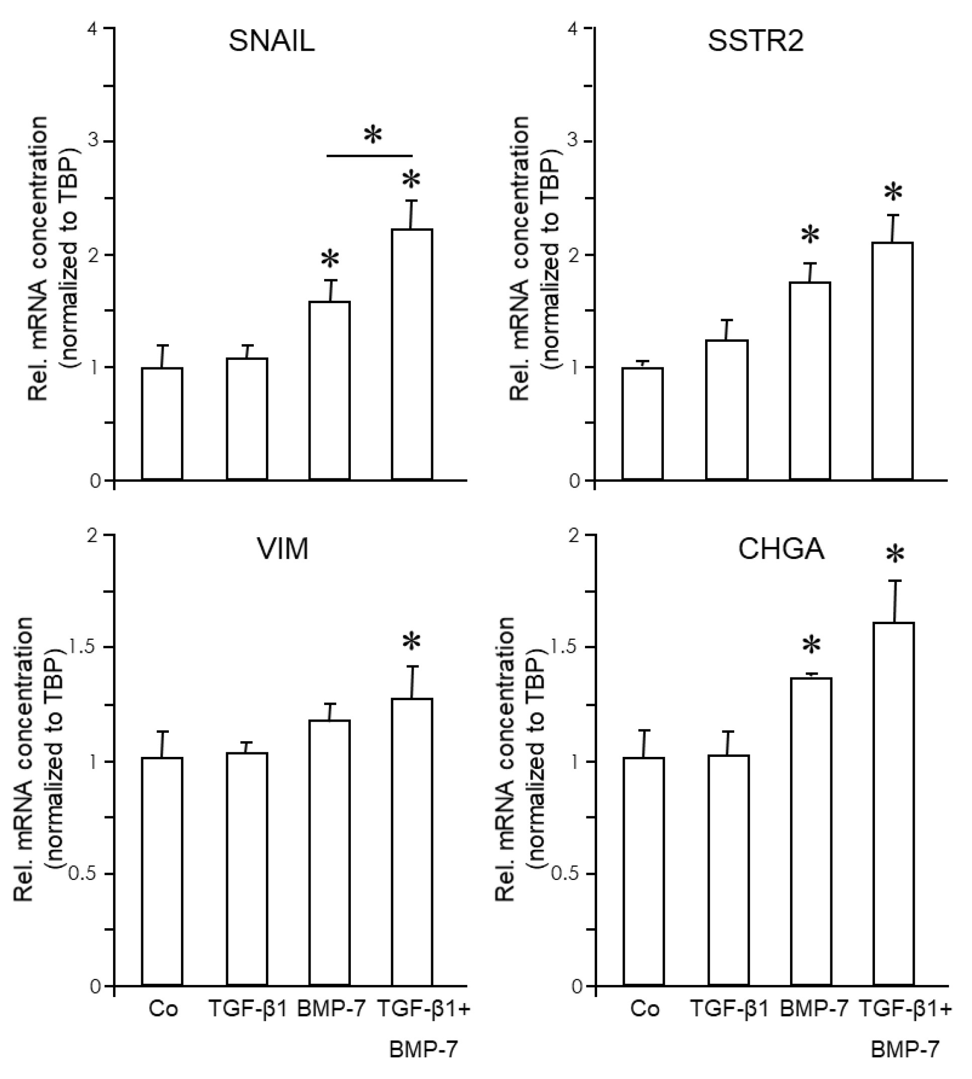 Cells 13 02010 g008 Cells 13 02010 g008