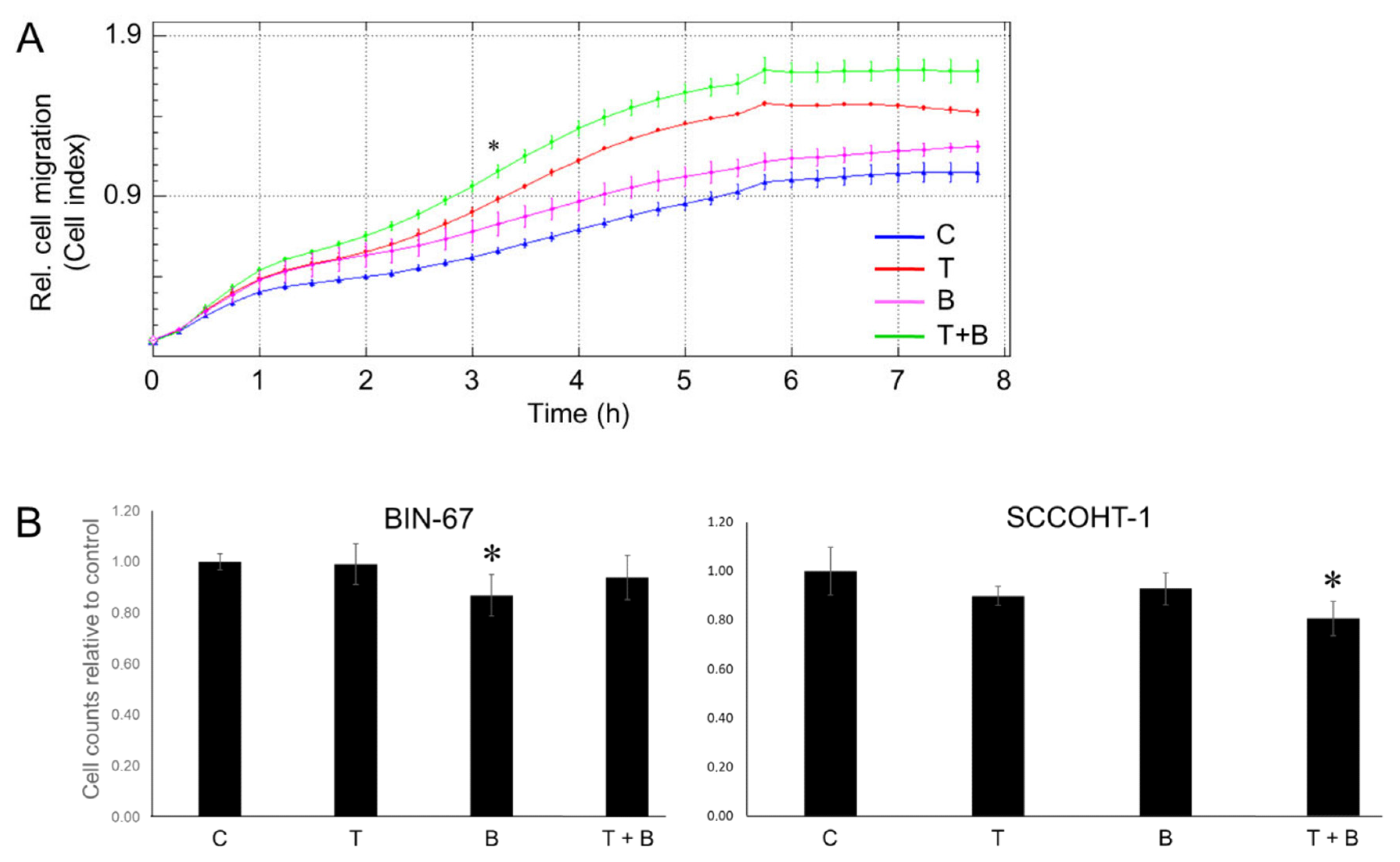 Cells 13 02010 g009 Cells 13 02010 g009