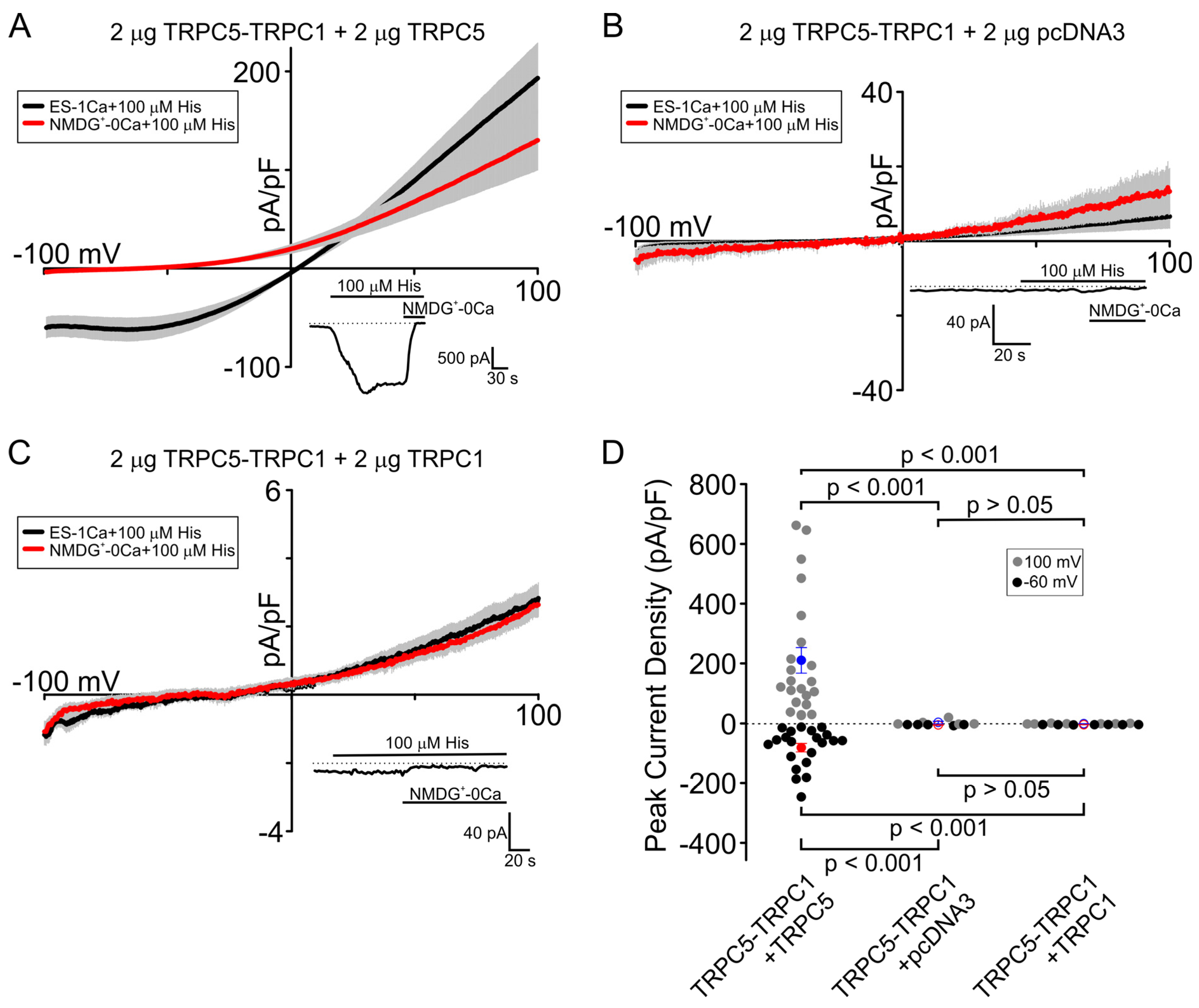 Cells 13 02019 g002 Cells 13 02019 g002