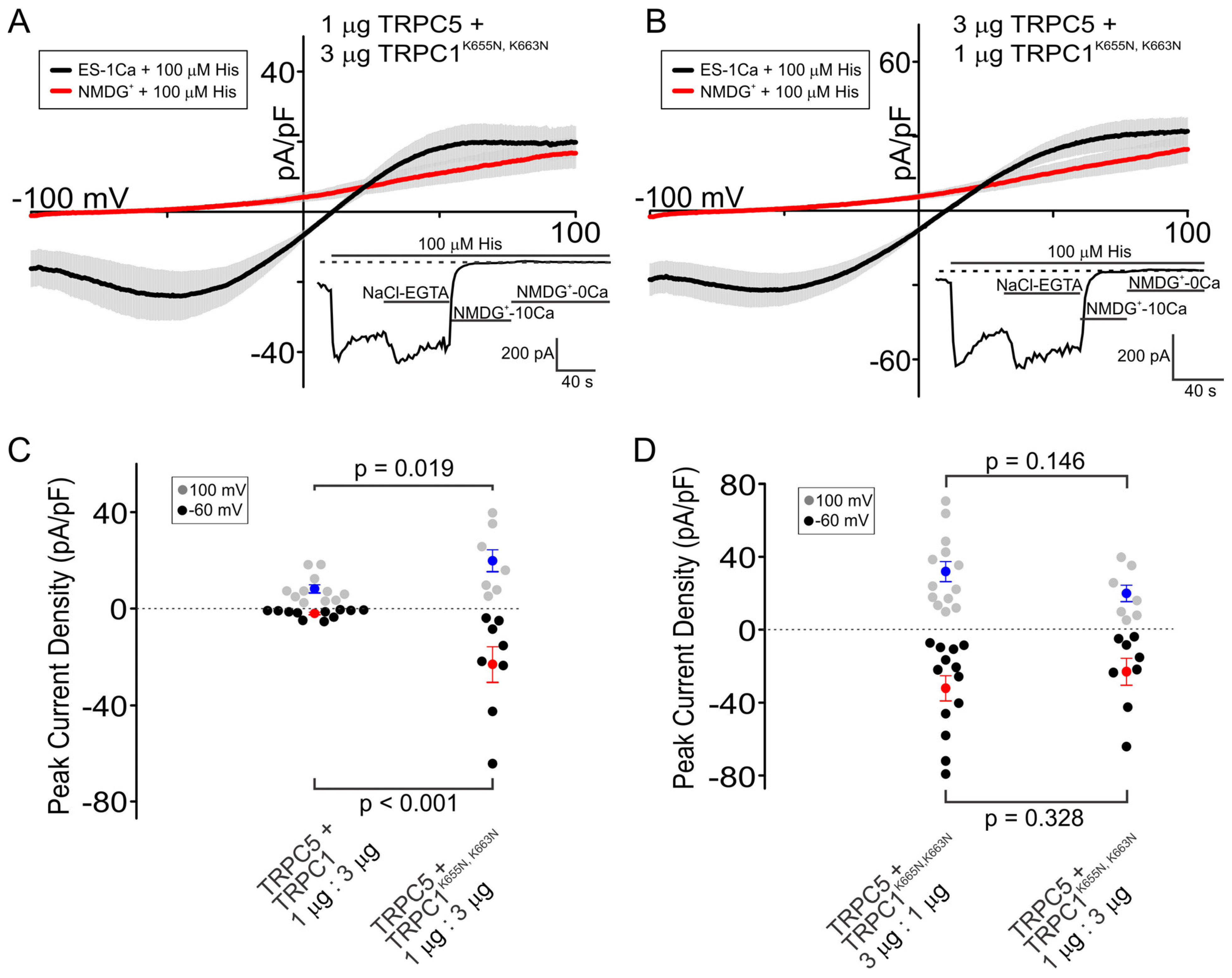 Cells 13 02019 g005 Cells 13 02019 g005