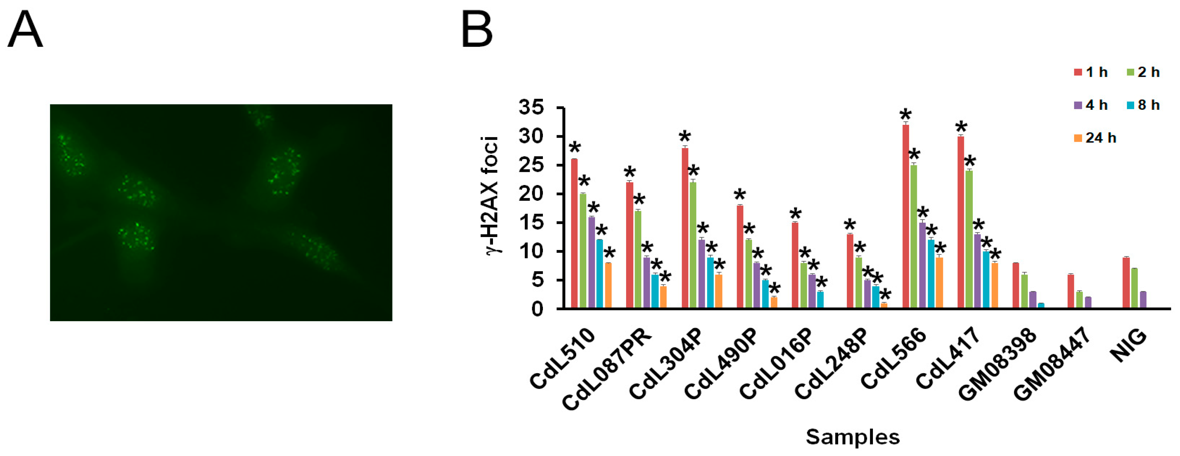 Cells 13 02025 g004 Cells 13 02025 g004
