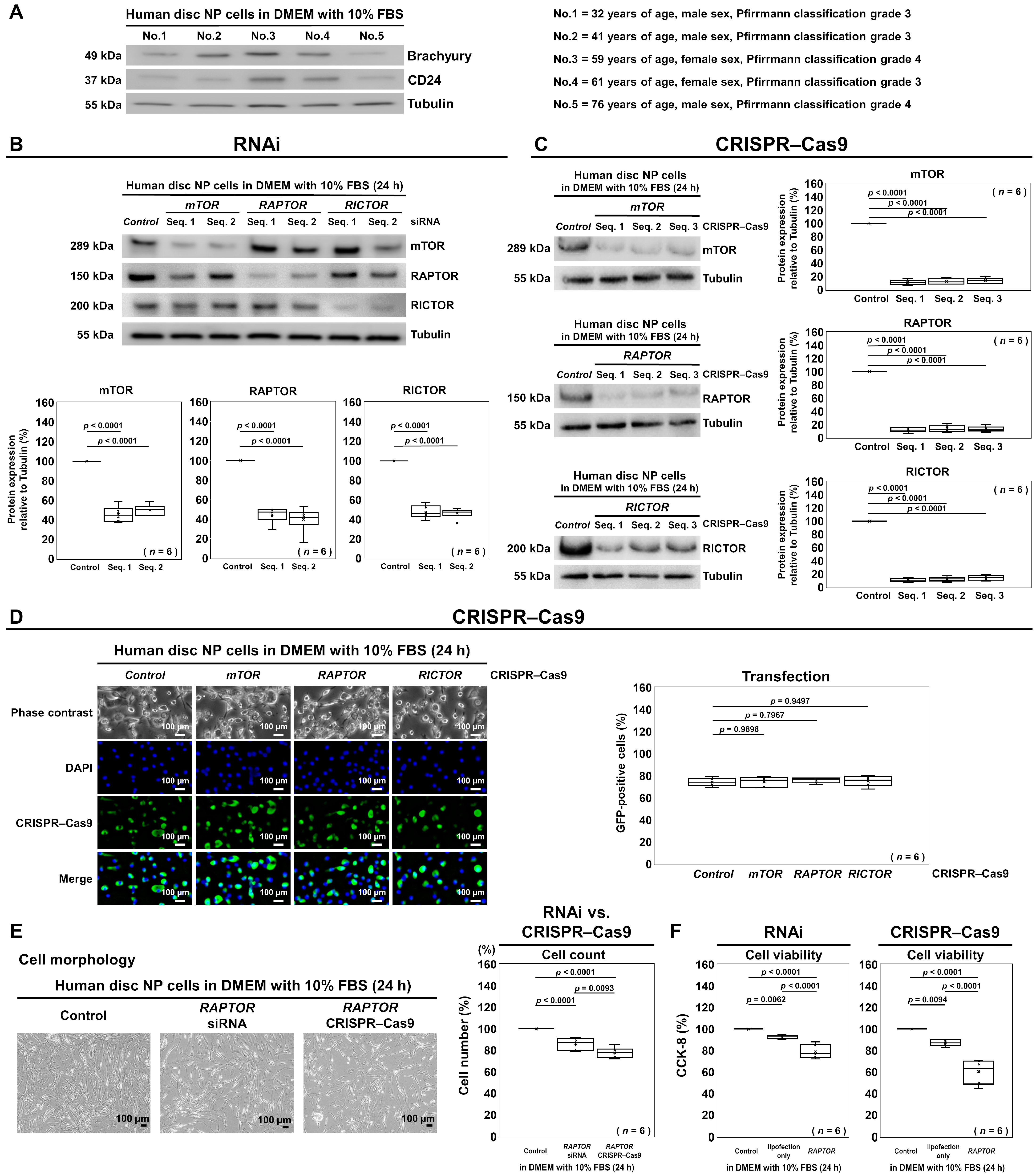 Cells 13 02030 g003 Cells 13 02030 g003