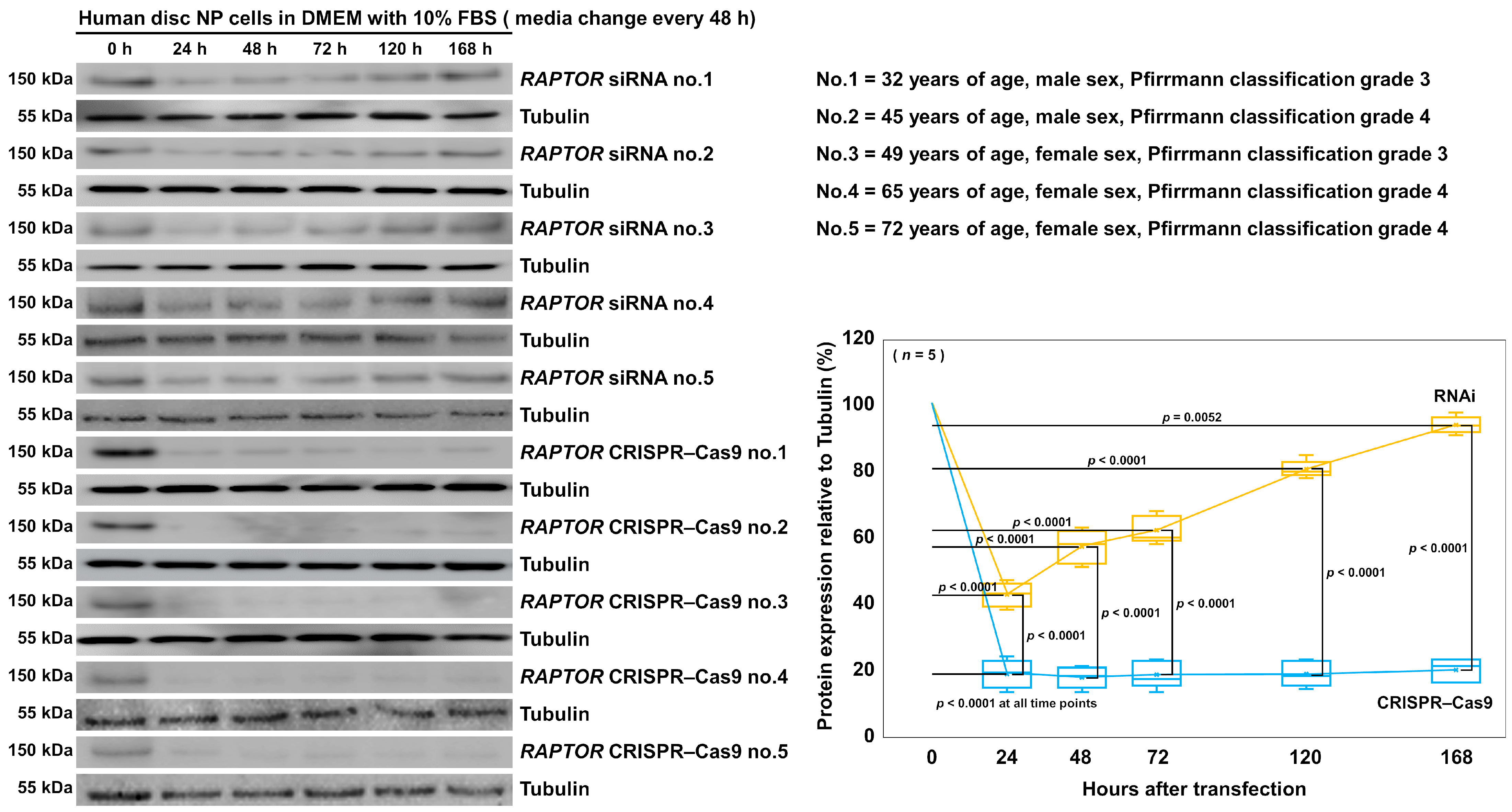 Cells 13 02030 g009 Cells 13 02030 g009