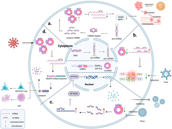 Frontiers | Genetic diversity evaluation of Luculia