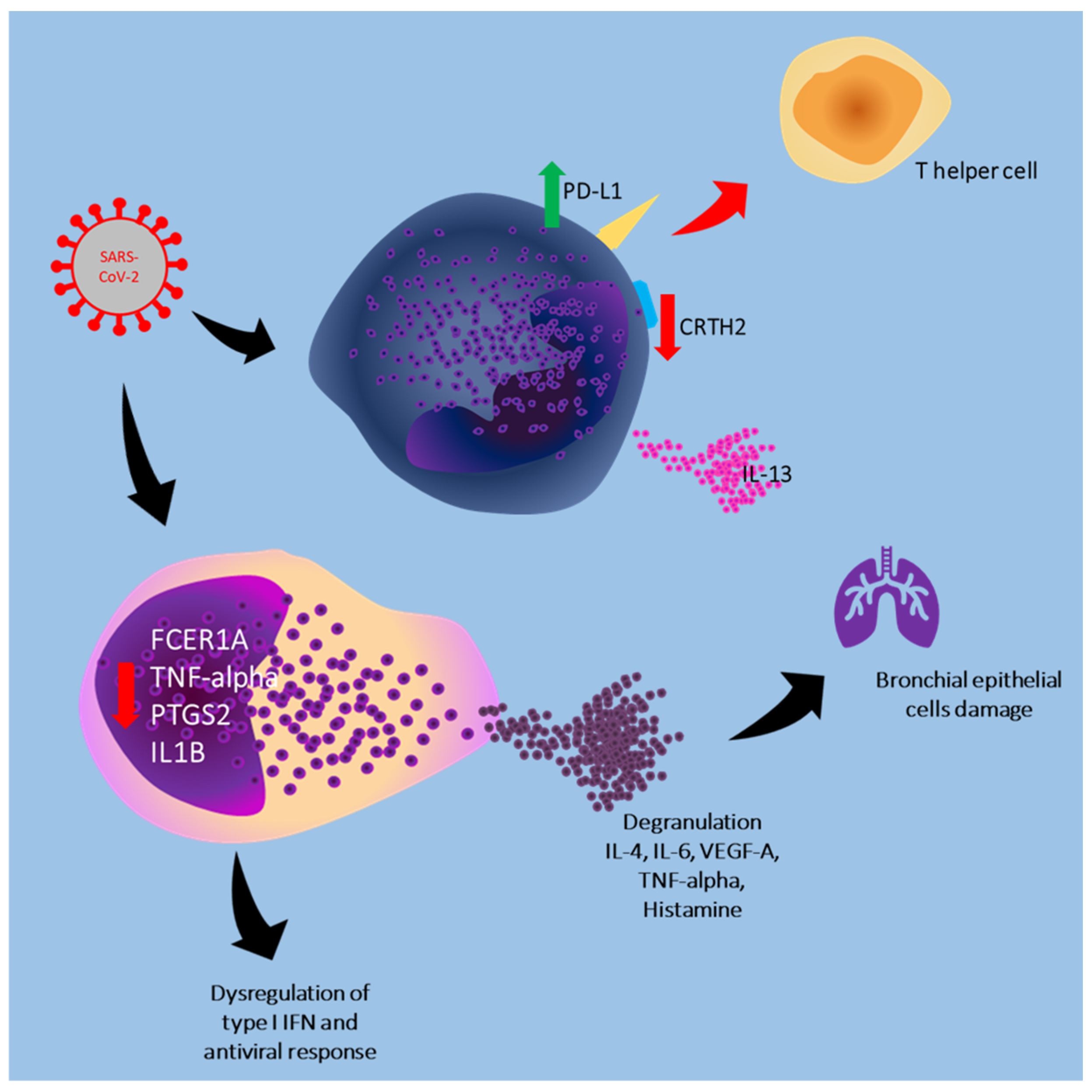 Cells 13 02044 g001 Cells 13 02044 g001