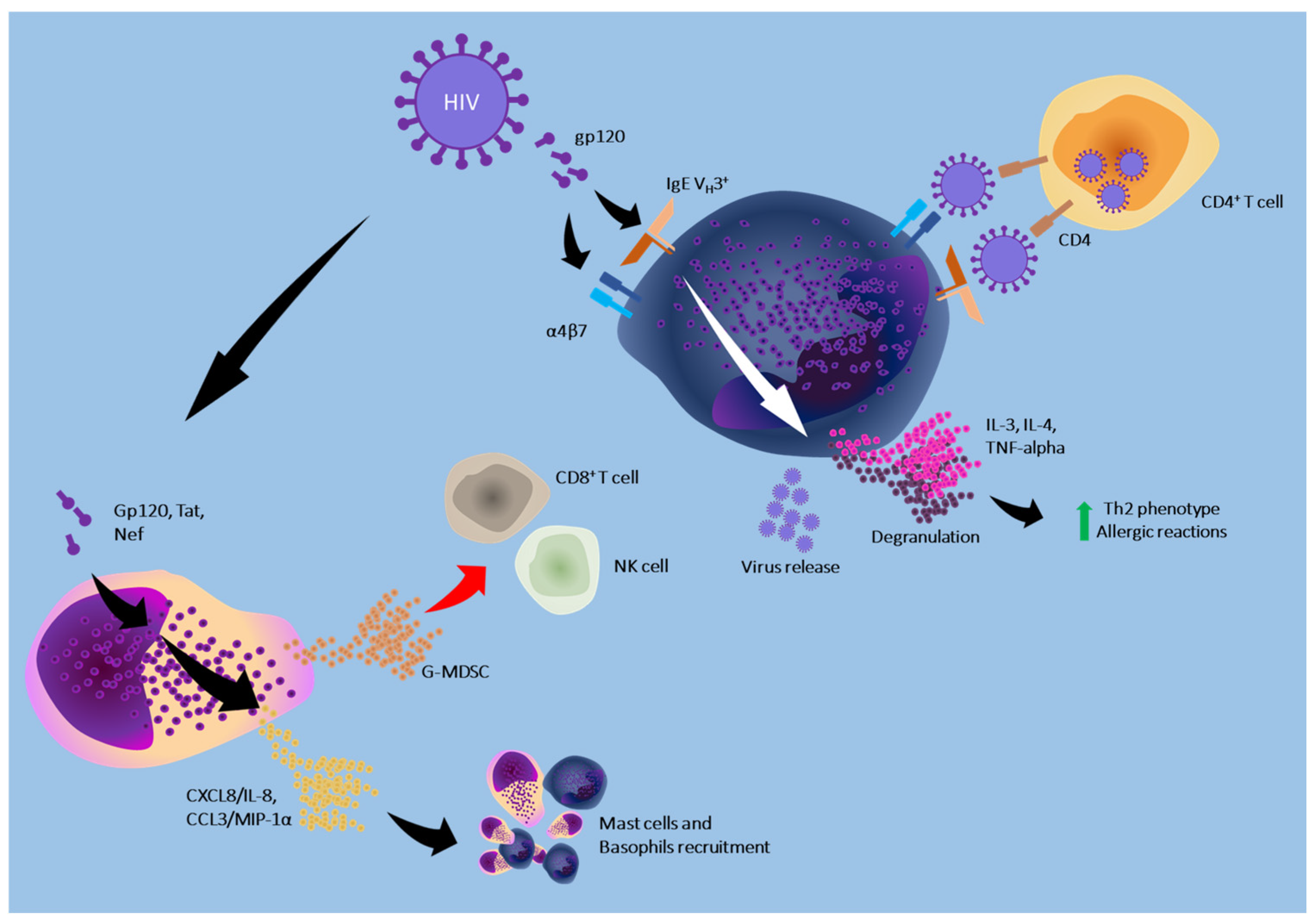 Cells 13 02044 g003 Cells 13 02044 g003