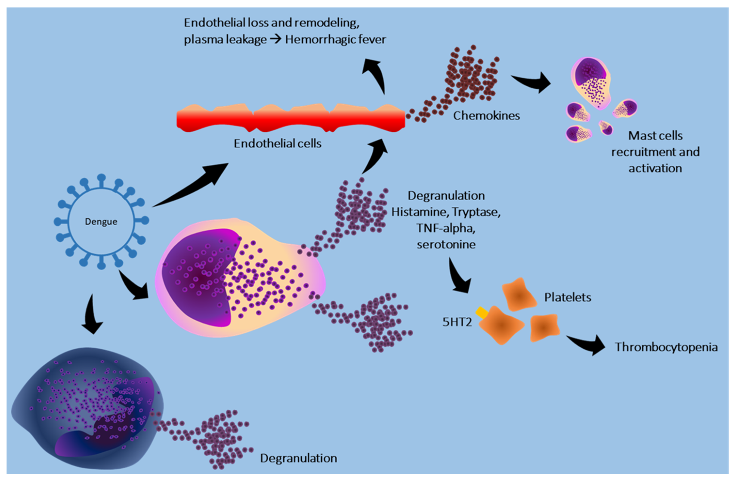 Cells 13 02044 g004 Cells 13 02044 g004