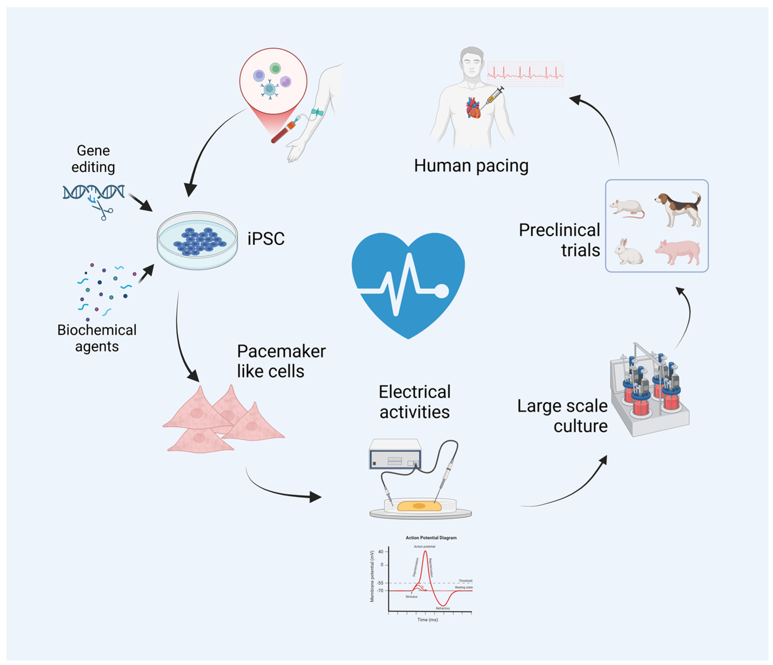 Cells 13 02045 g001 Cells 13 02045 g001
