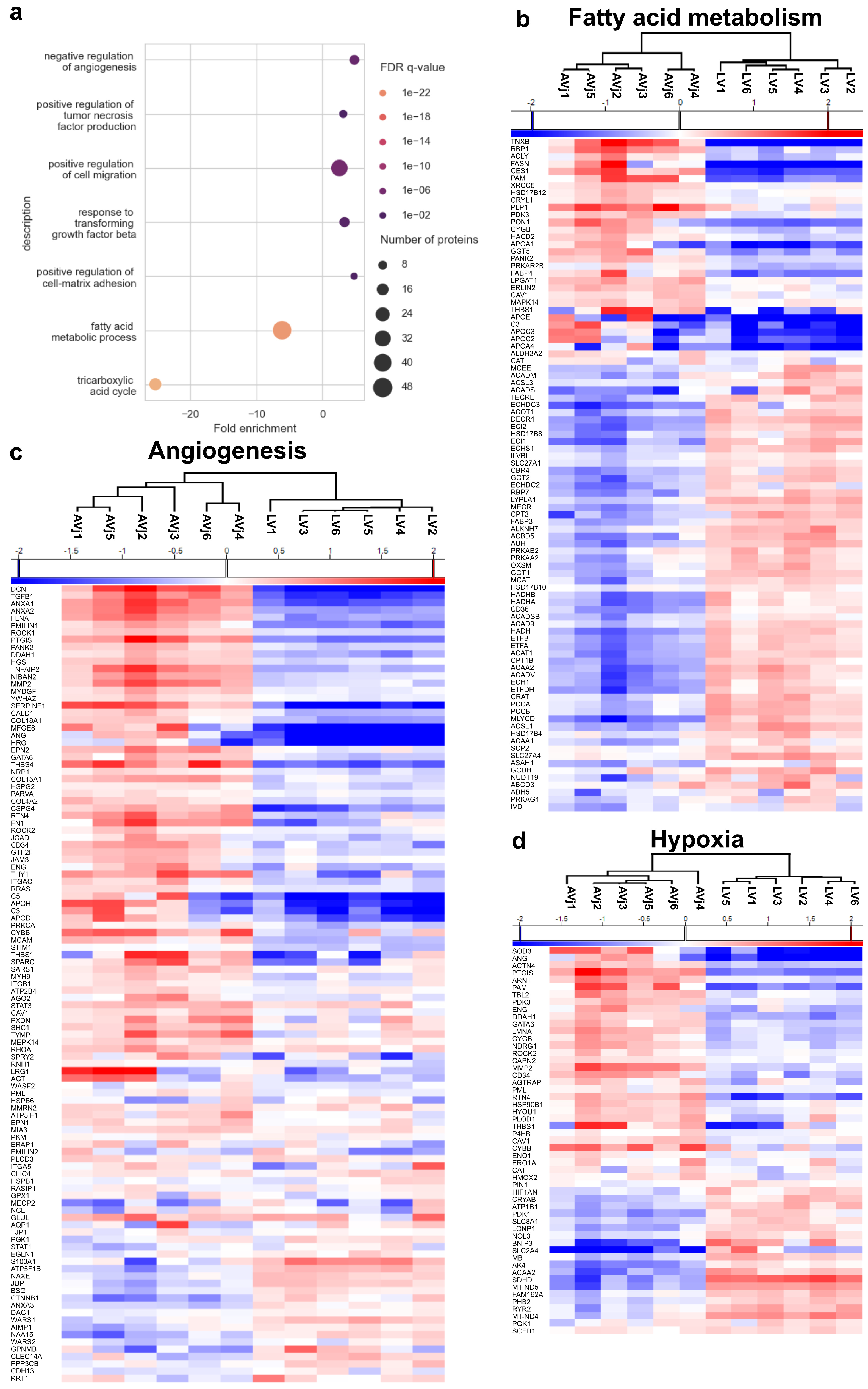 Cells 13 02048 g004 Cells 13 02048 g004