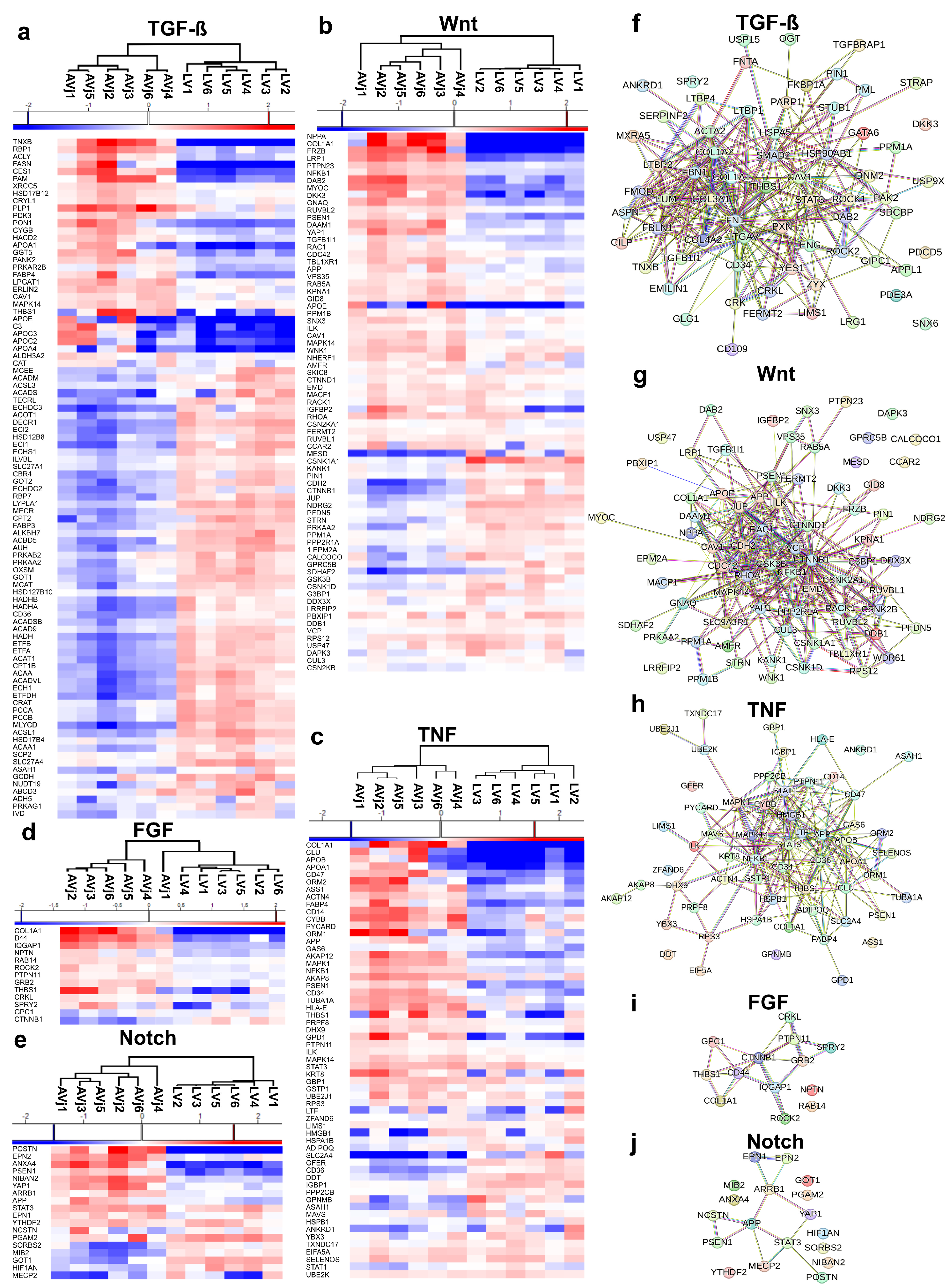 Cells 13 02048 g005 Cells 13 02048 g005