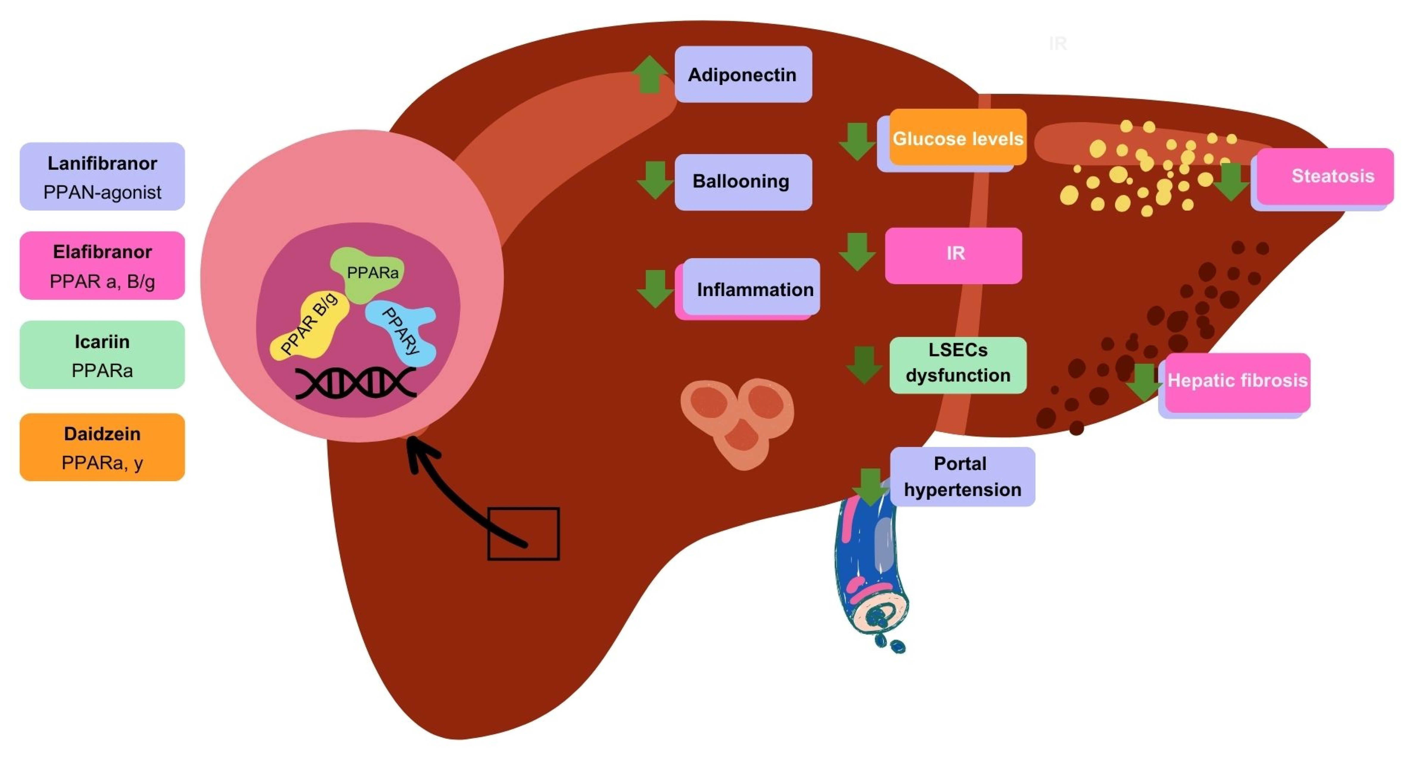 Cells 13 02055 g002 Cells 13 02055 g002