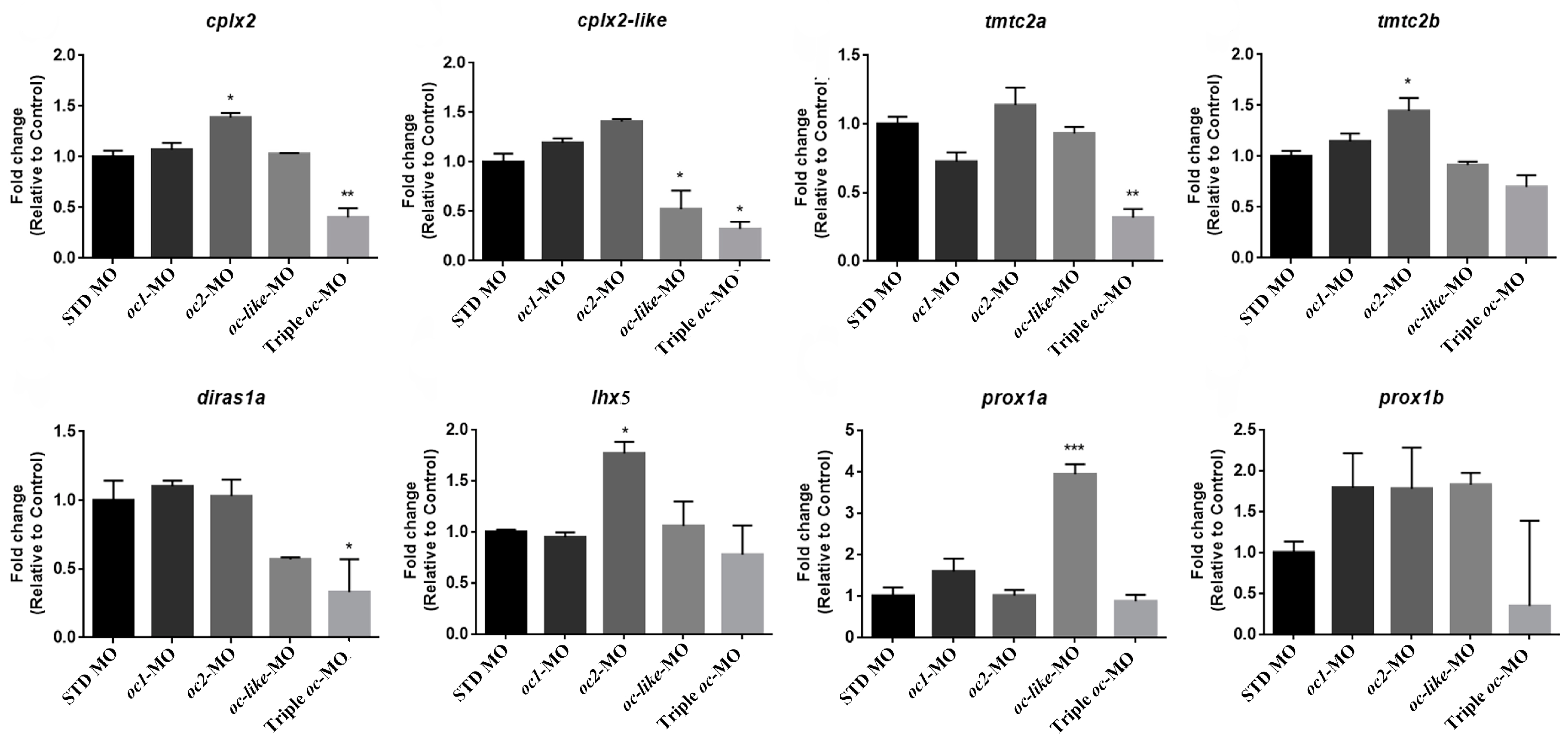 Cells 13 02071 g007 Cells 13 02071 g007
