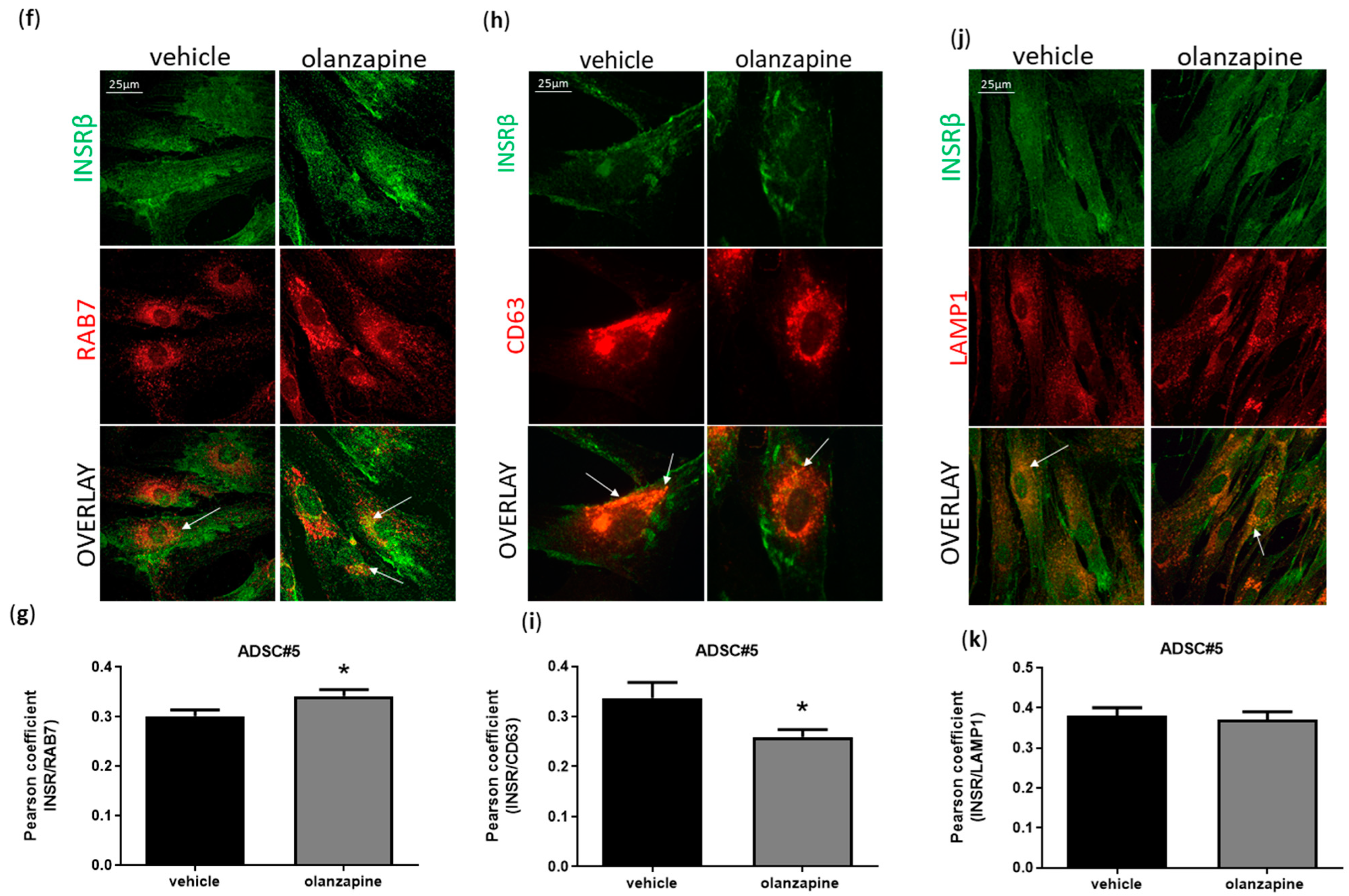 Cells 13 02084 g004b