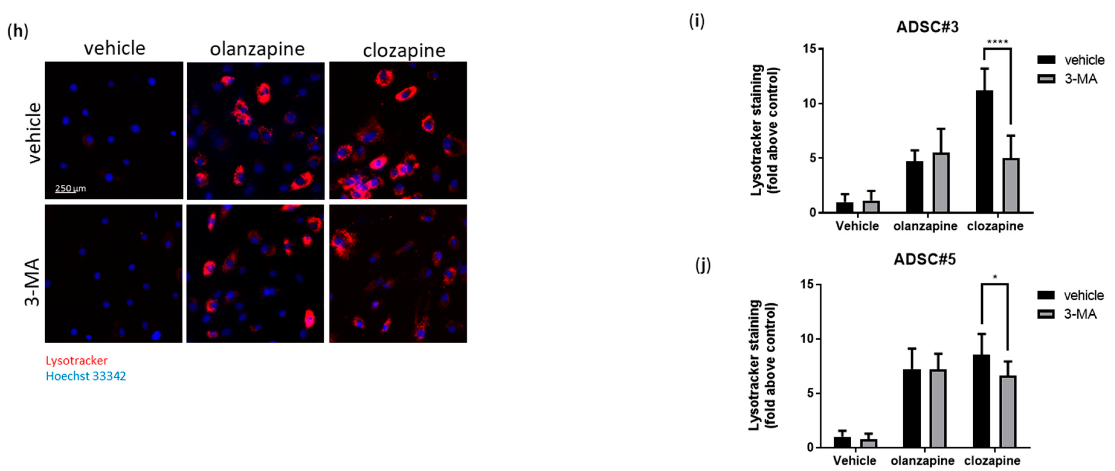 Cells 13 02084 g005b