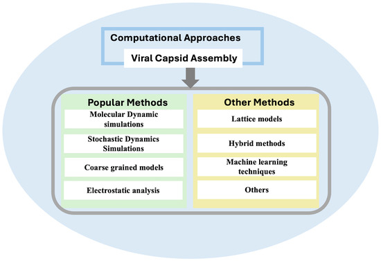 Modeling Viral Capsid Assembly: A Review of Computational 