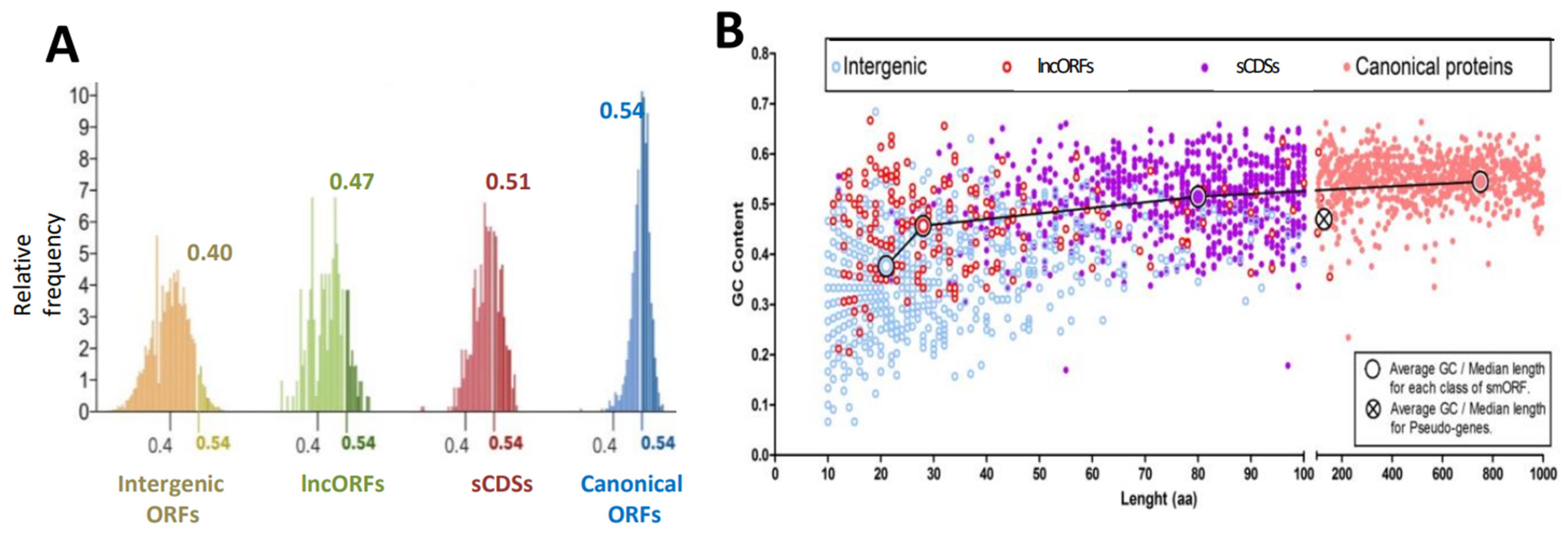 Cells 13 02090 g003 Cells 13 02090 g003