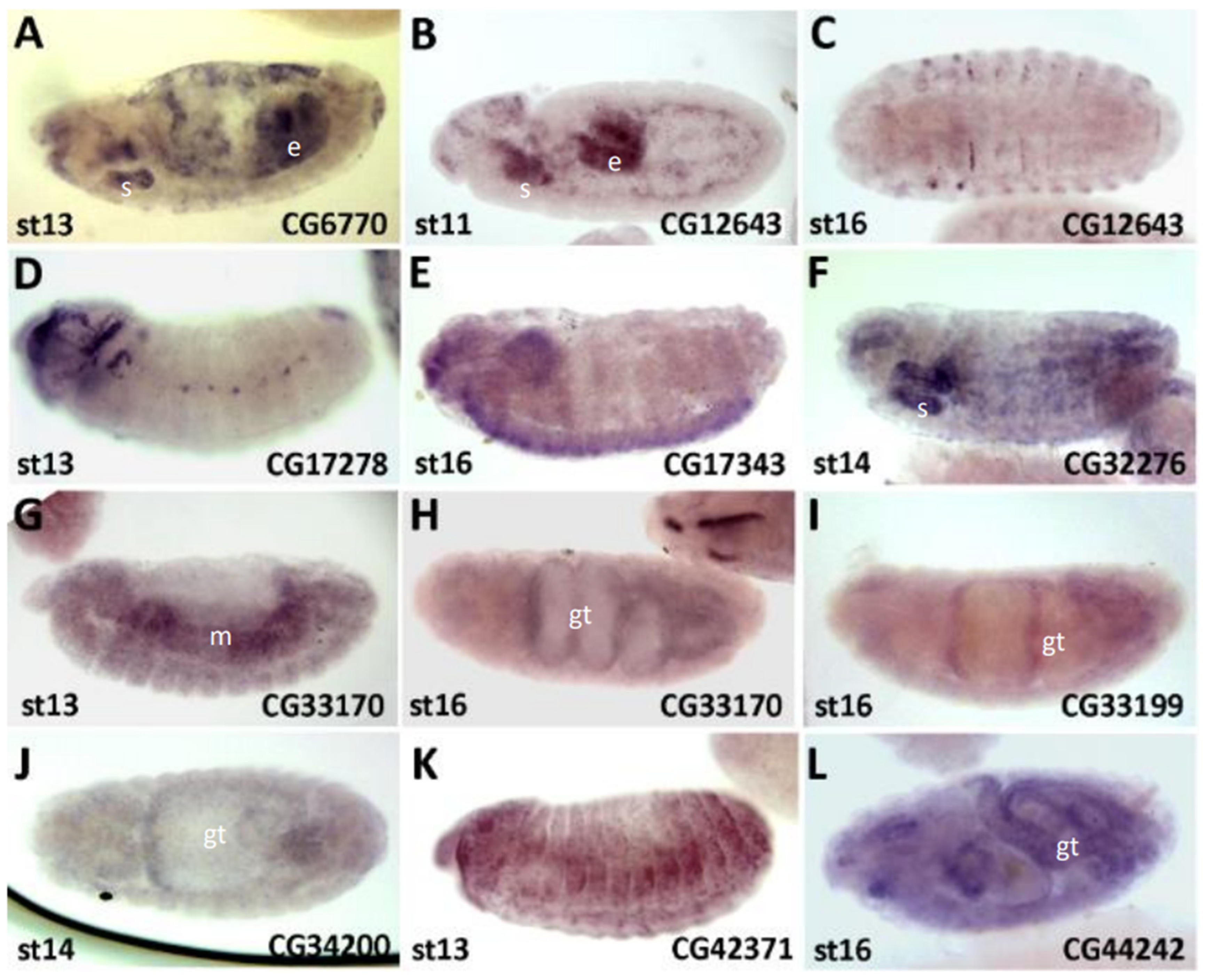 Cells 13 02090 g004 Cells 13 02090 g004