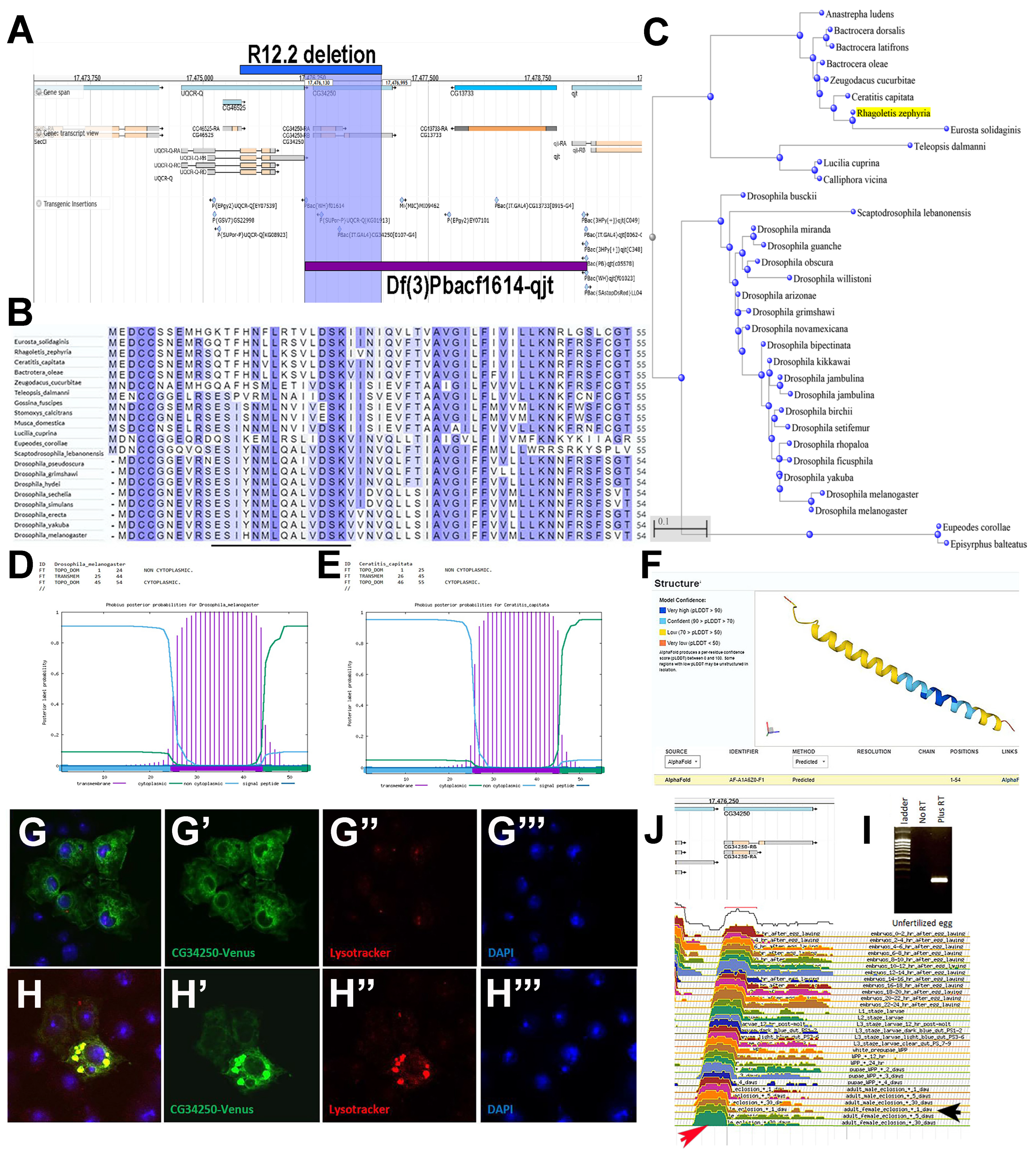 Cells 13 02090 g005 Cells 13 02090 g005