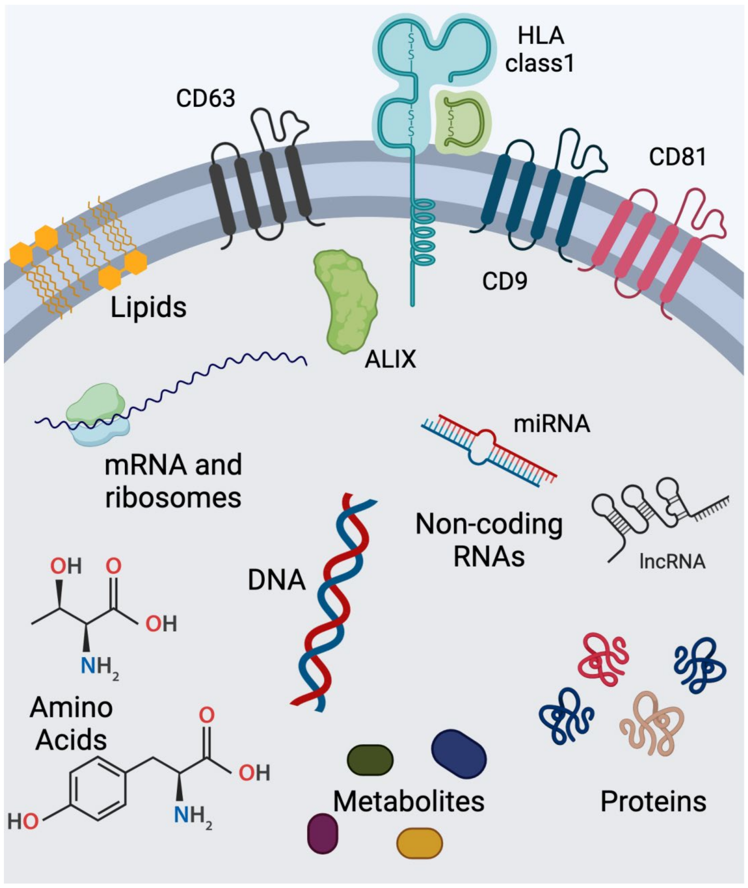 Cells 13 02100 g005 Cells 13 02100 g005