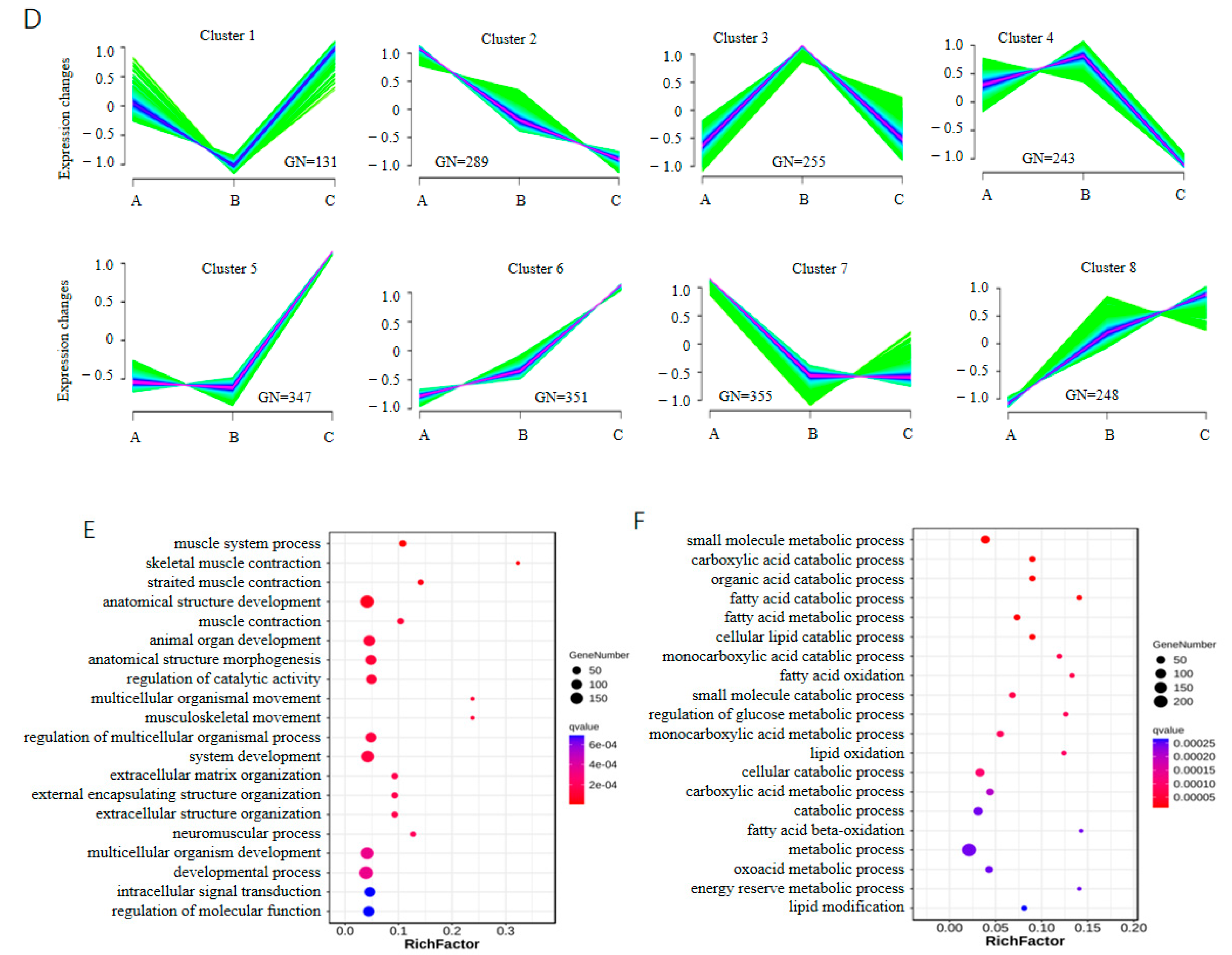 Cells 13 02118 g004b