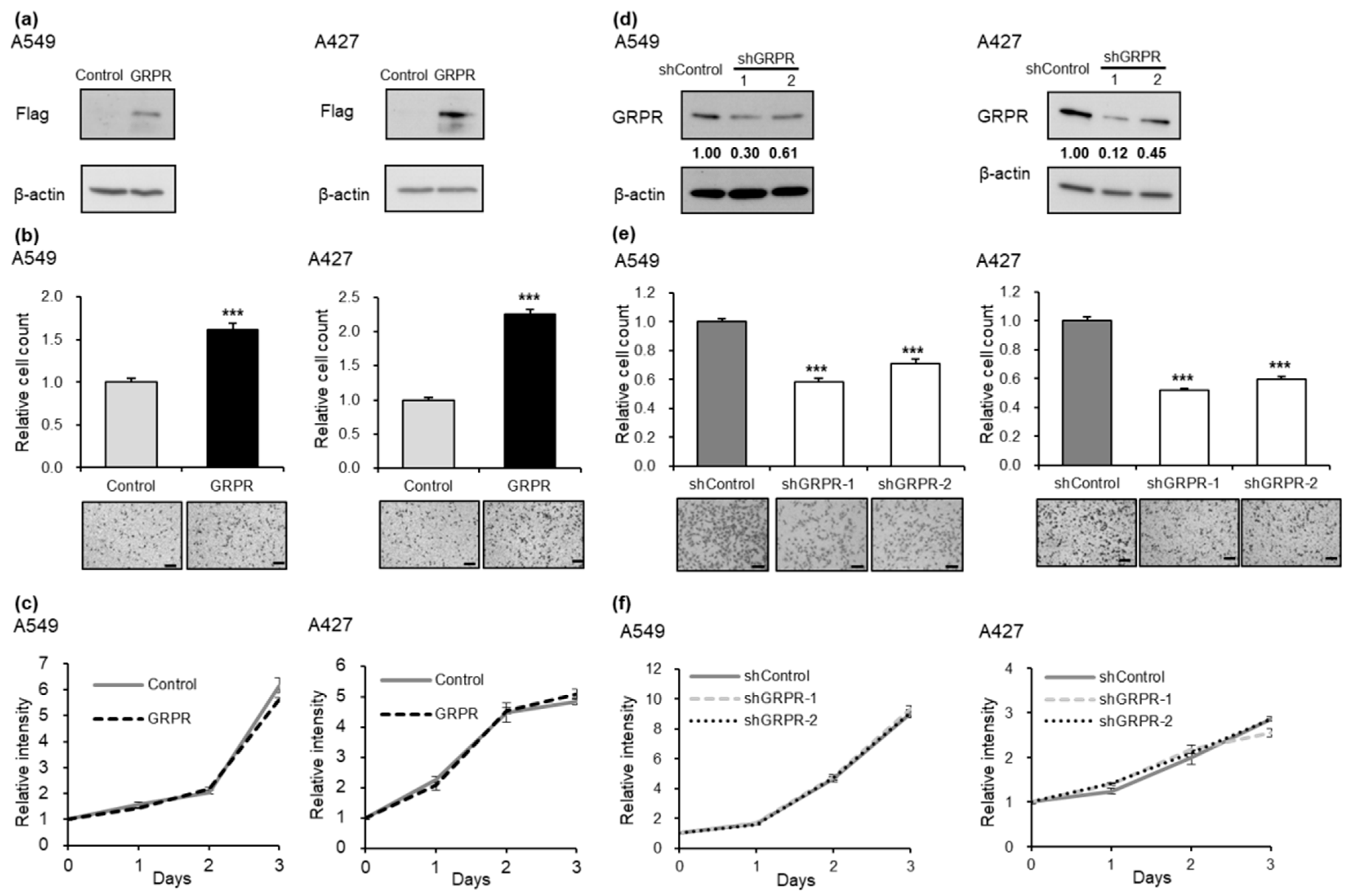 Cells 13 02128 g002 Cells 13 02128 g002