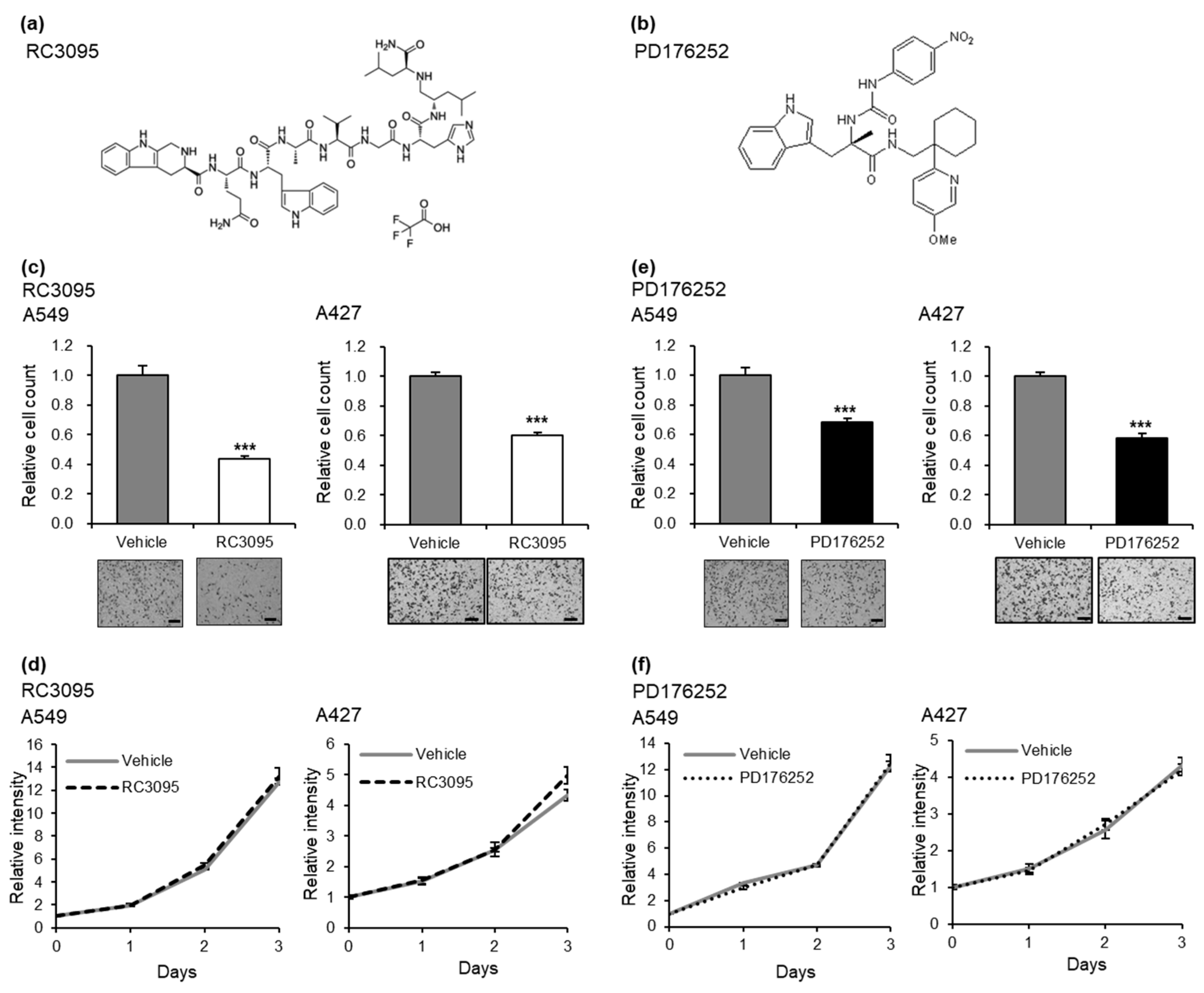 Cells 13 02128 g003 Cells 13 02128 g003