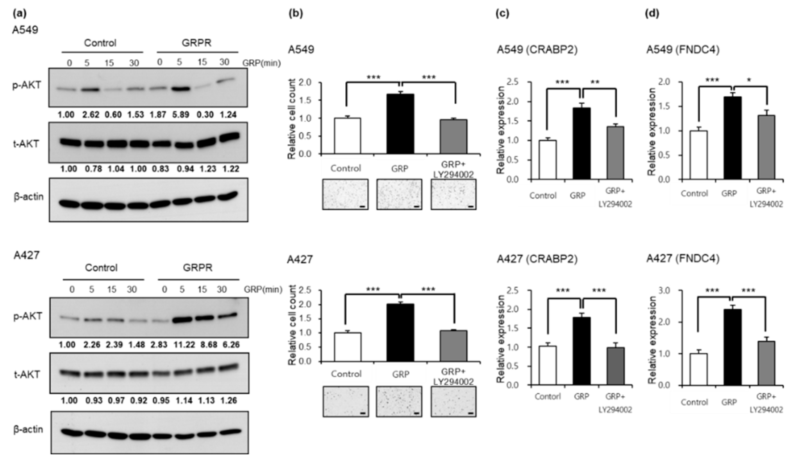 Cells 13 02128 g005 Cells 13 02128 g005