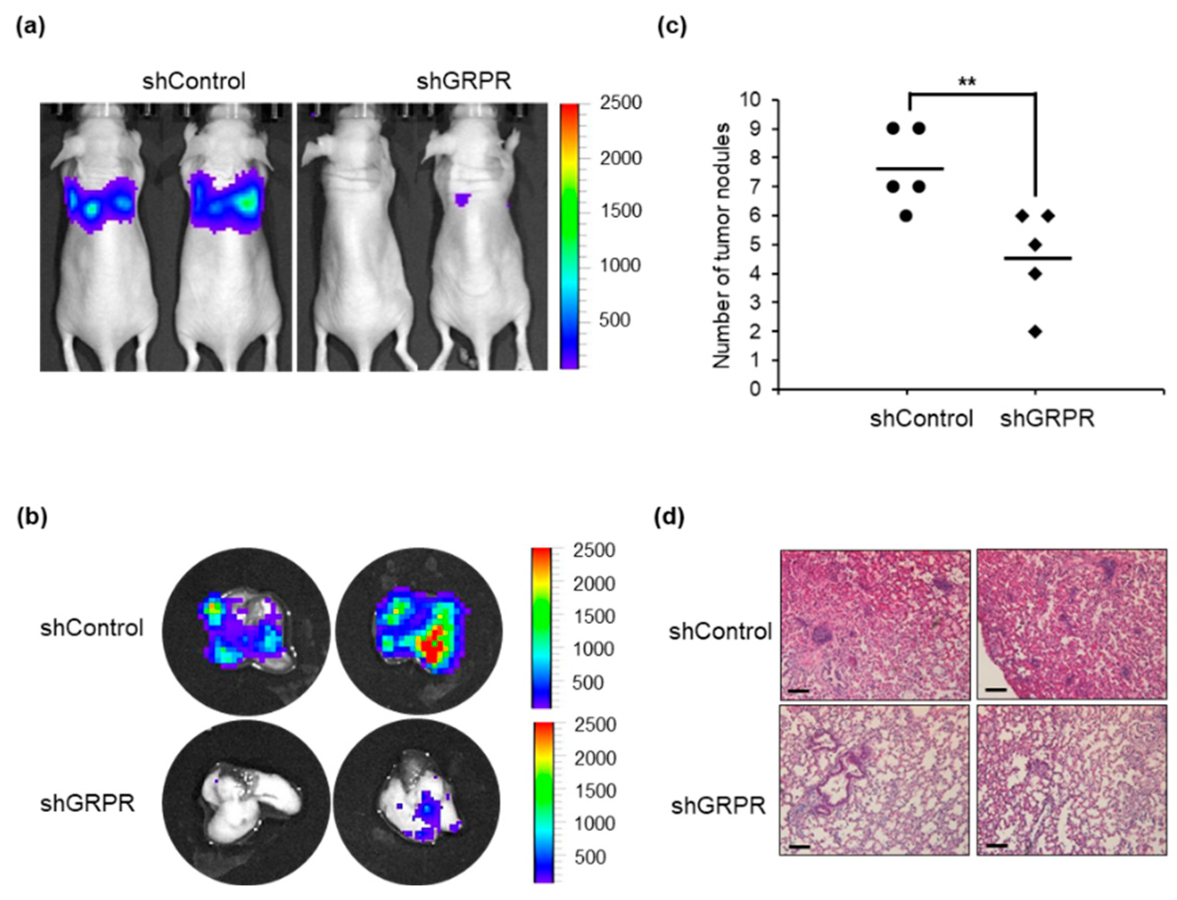 Cells 13 02128 g006 Cells 13 02128 g006