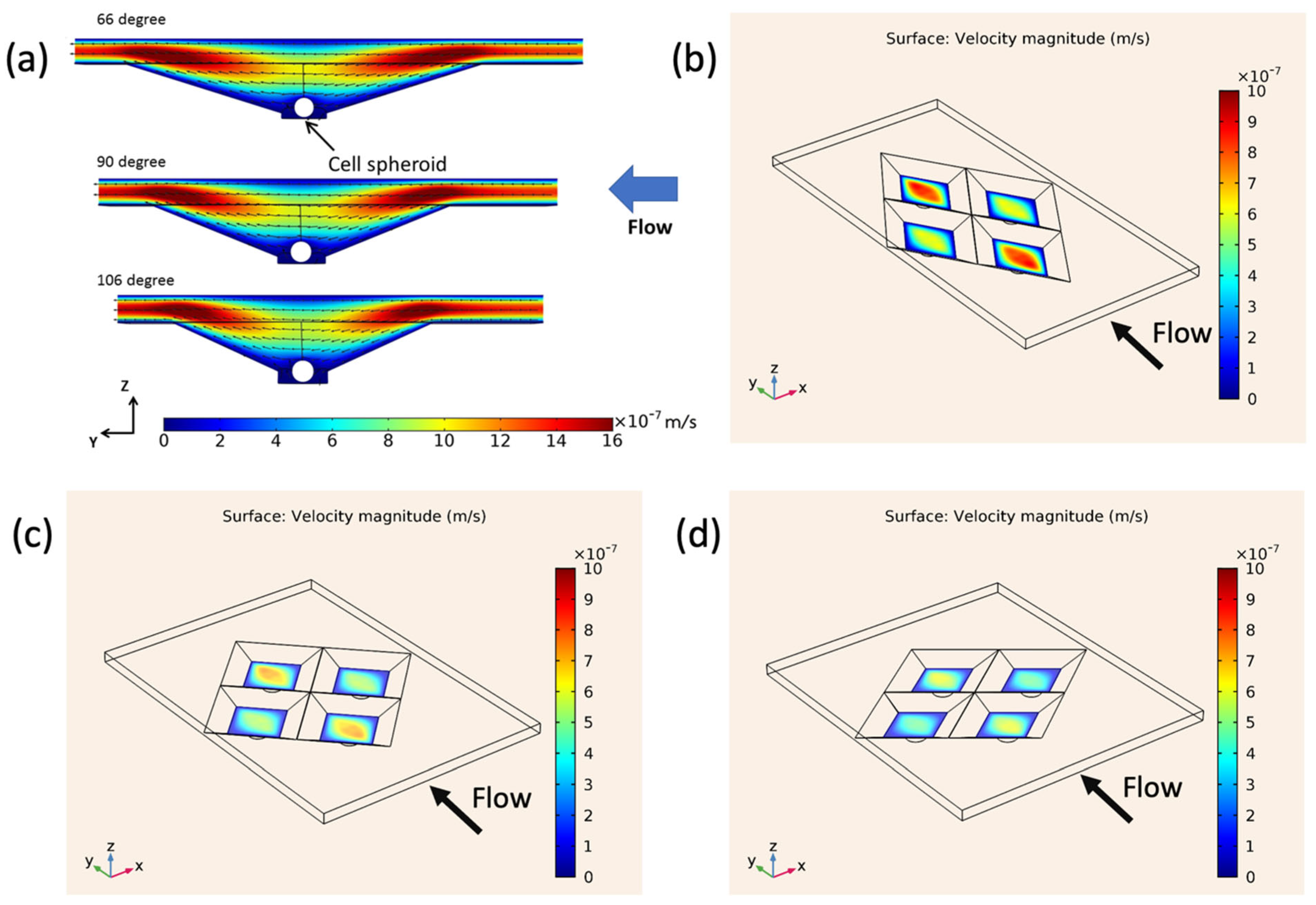Cells 13 02132 g004 Cells 13 02132 g004