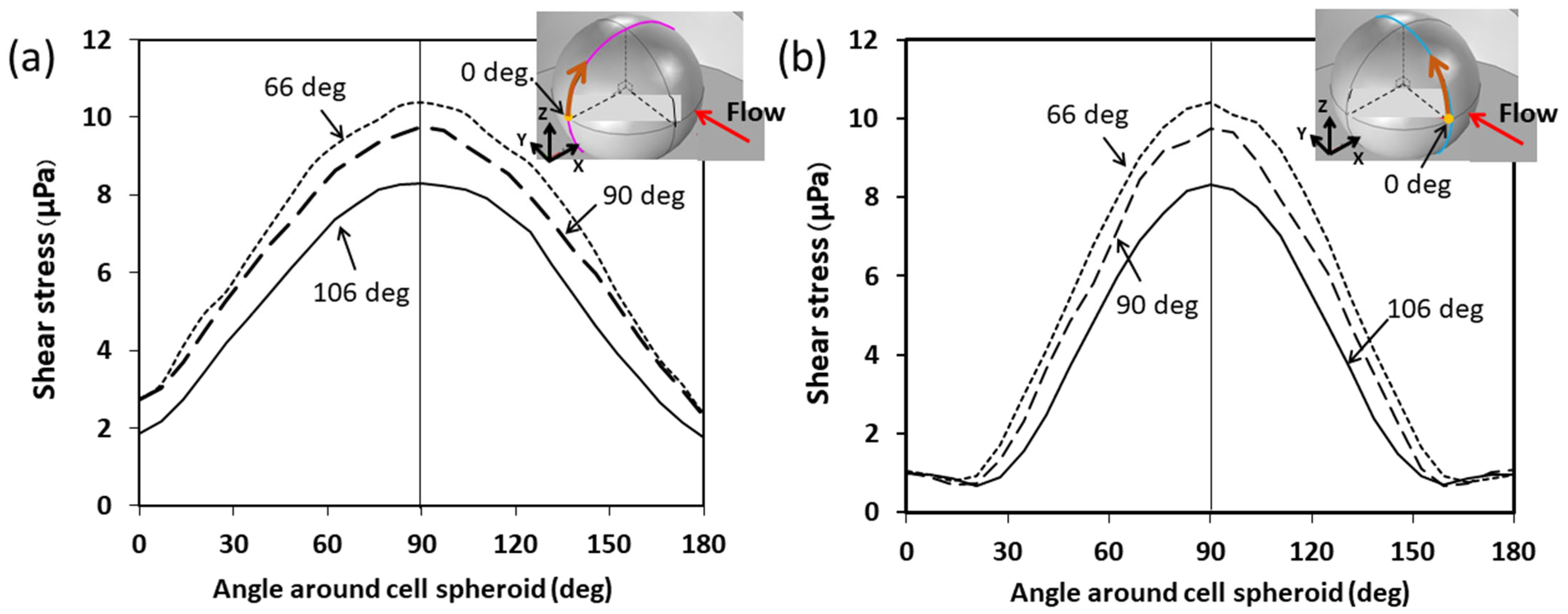 Cells 13 02132 g006 Cells 13 02132 g006