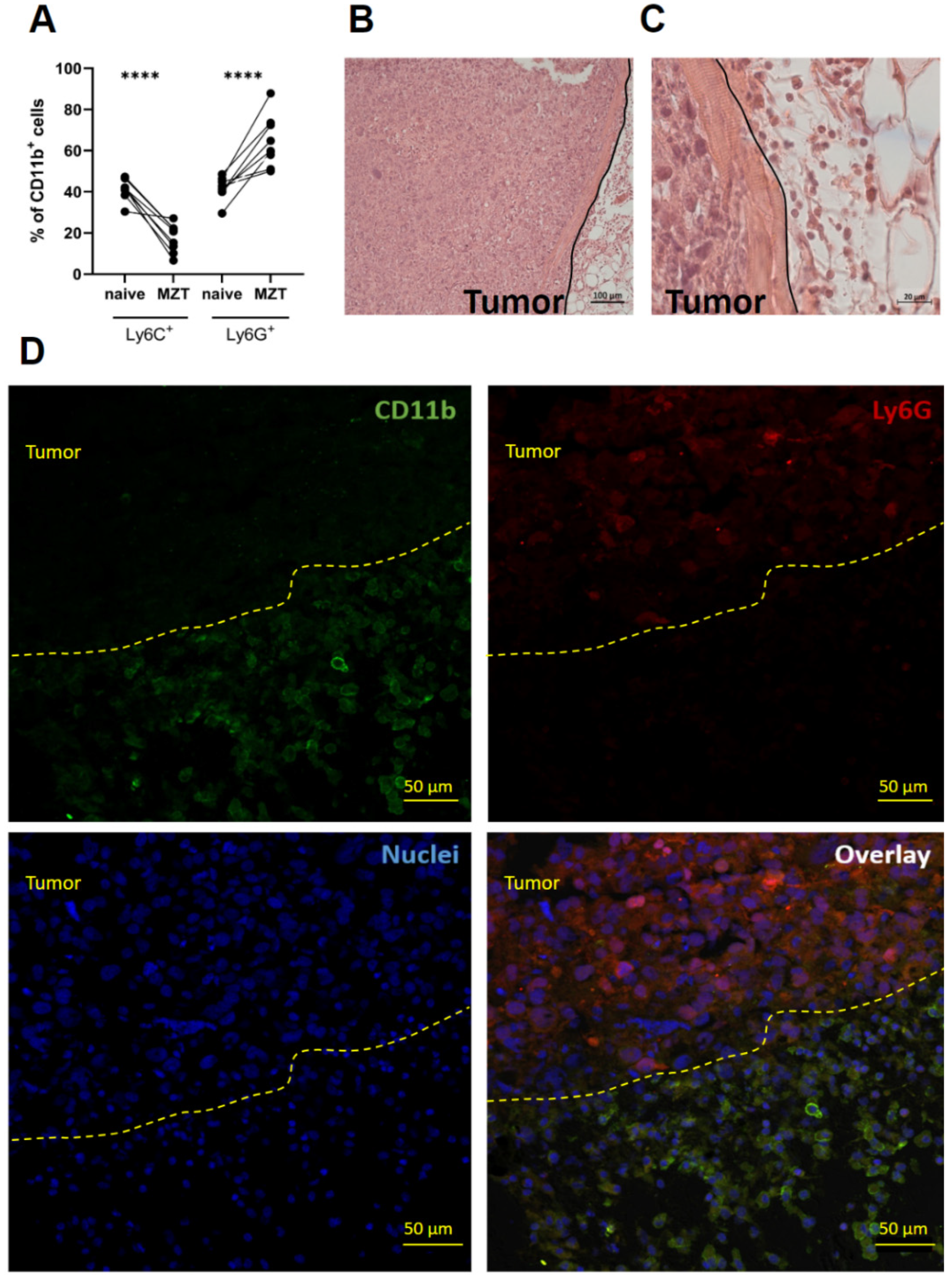 Cells 13 02135 g005 Cells 13 02135 g005