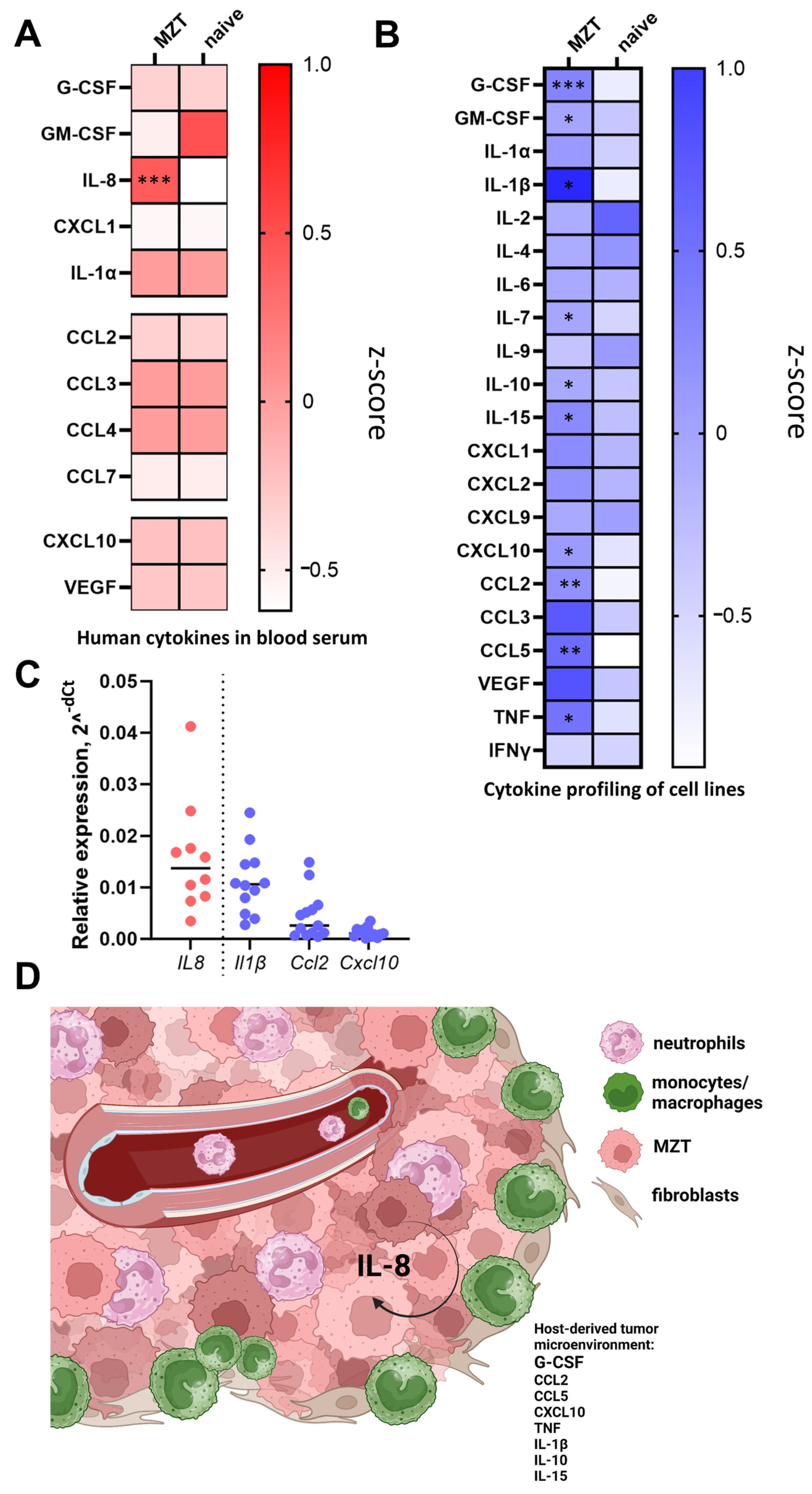 Cells 13 02135 g006 Cells 13 02135 g006