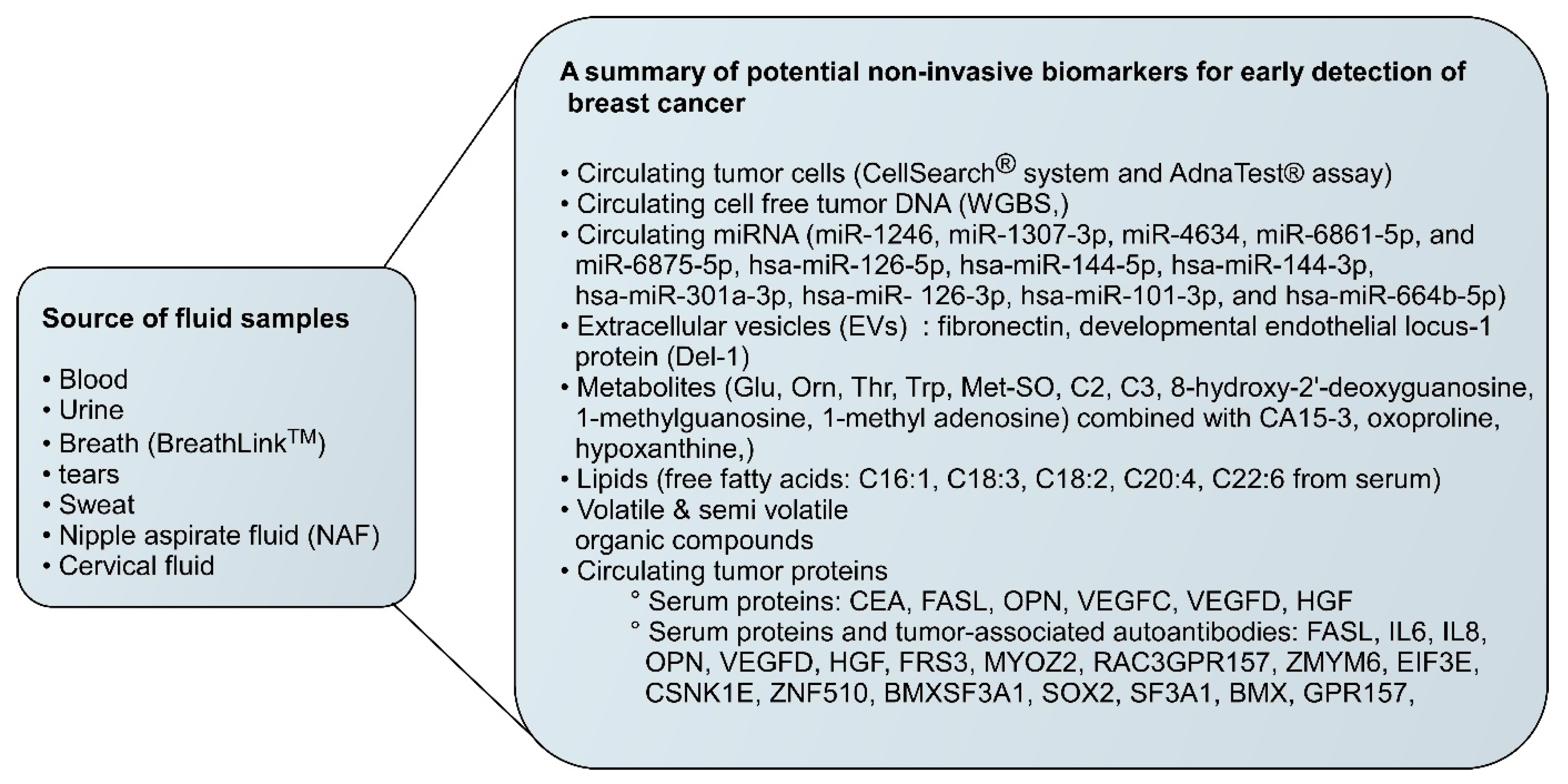 Metabolomics-Driven Biomarker Discovery for Breast Cancer