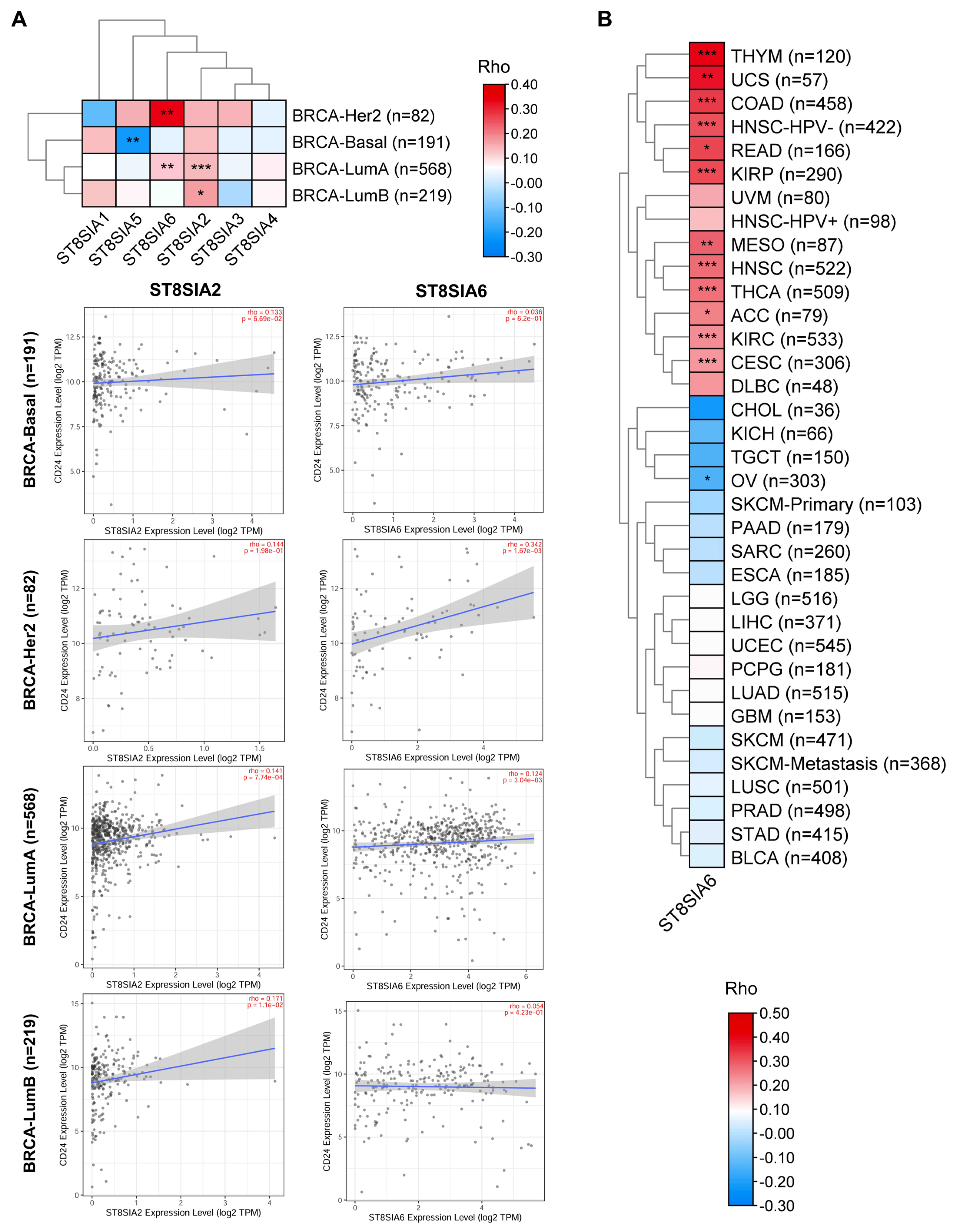 Cells 14 00009 g005 Cells 14 00009 g005