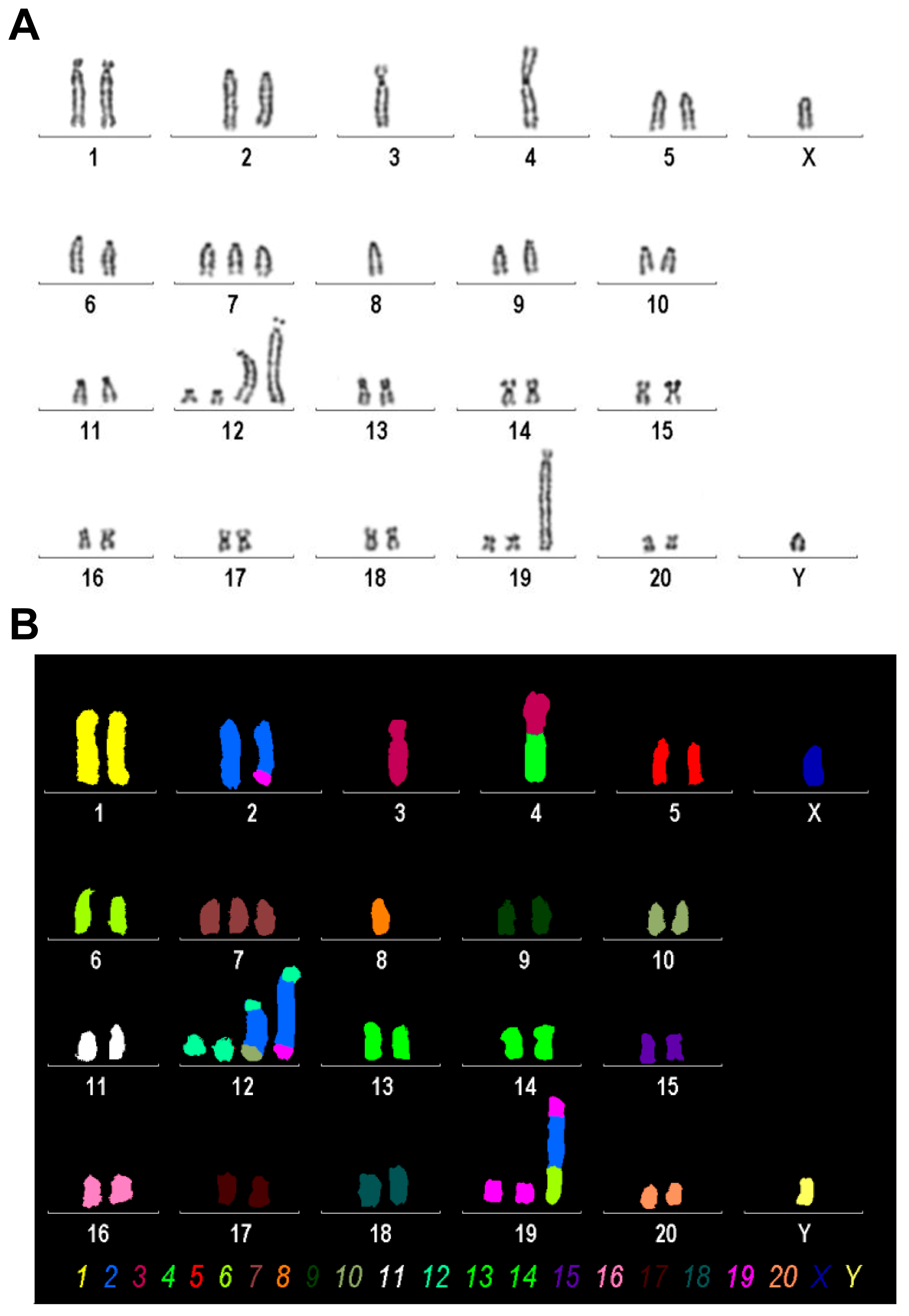 Cells 14 00021 g005 Cells 14 00021 g005