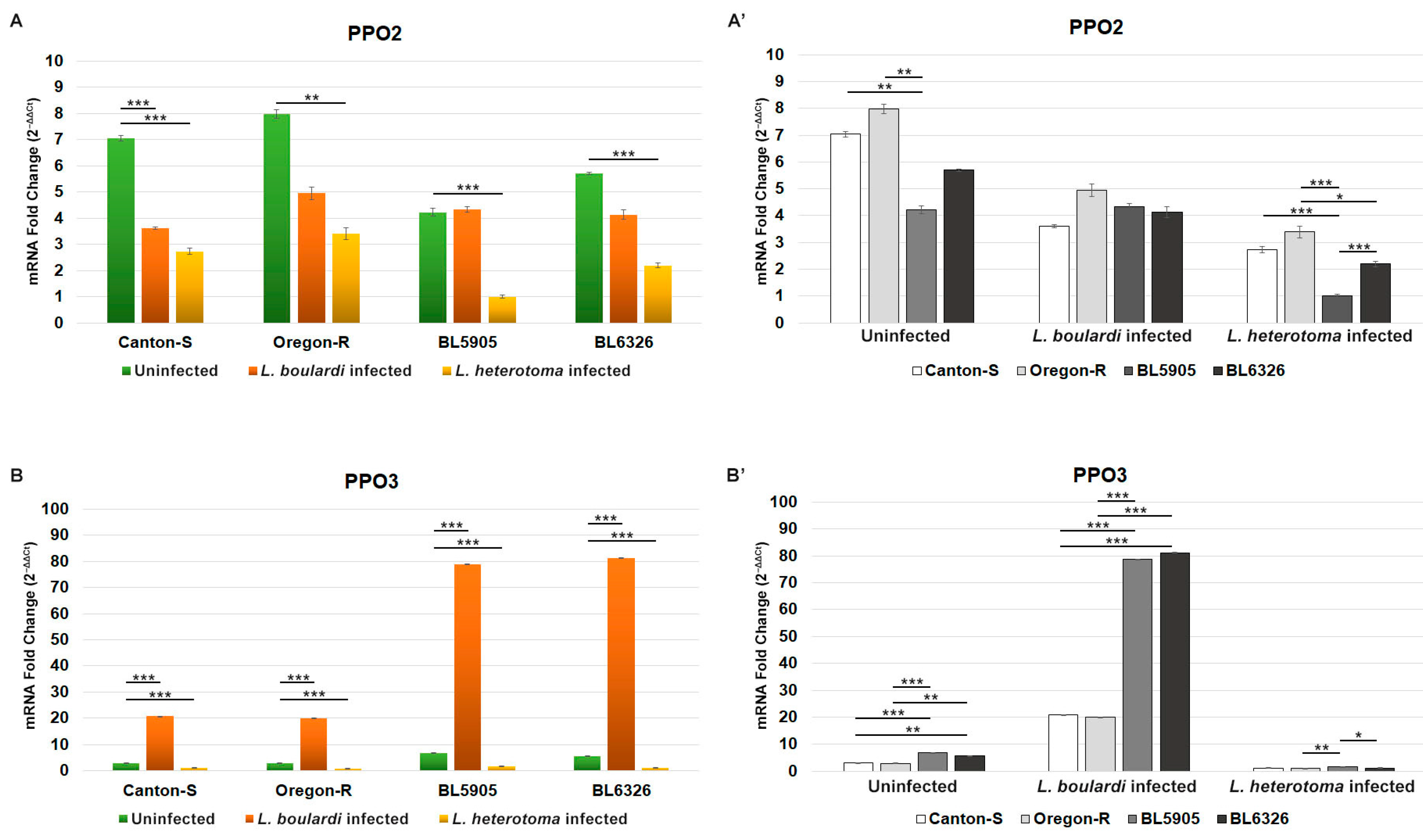 Cells 14 00046 g003 Cells 14 00046 g003