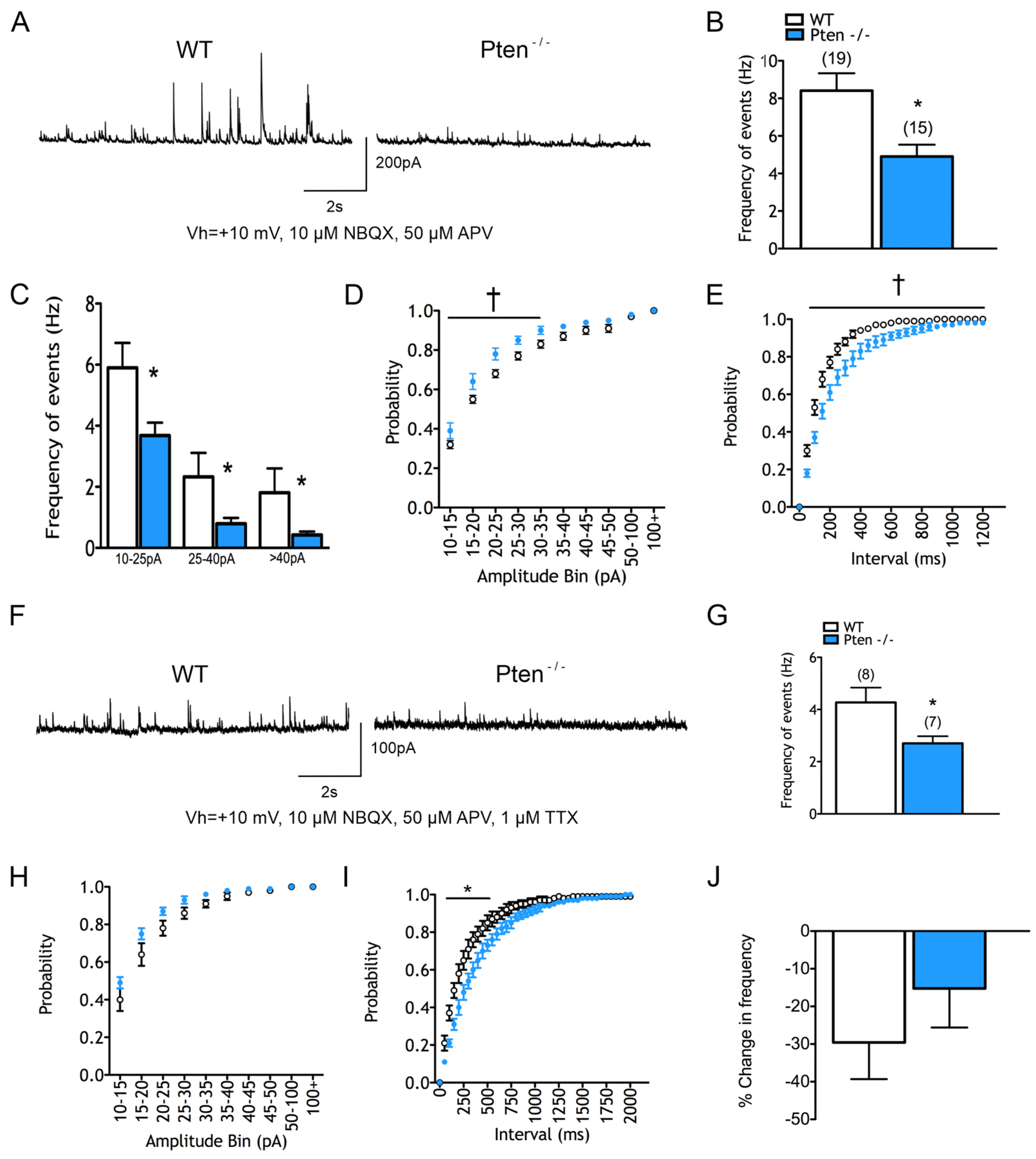 Cells 14 00079 g002 Cells 14 00079 g002