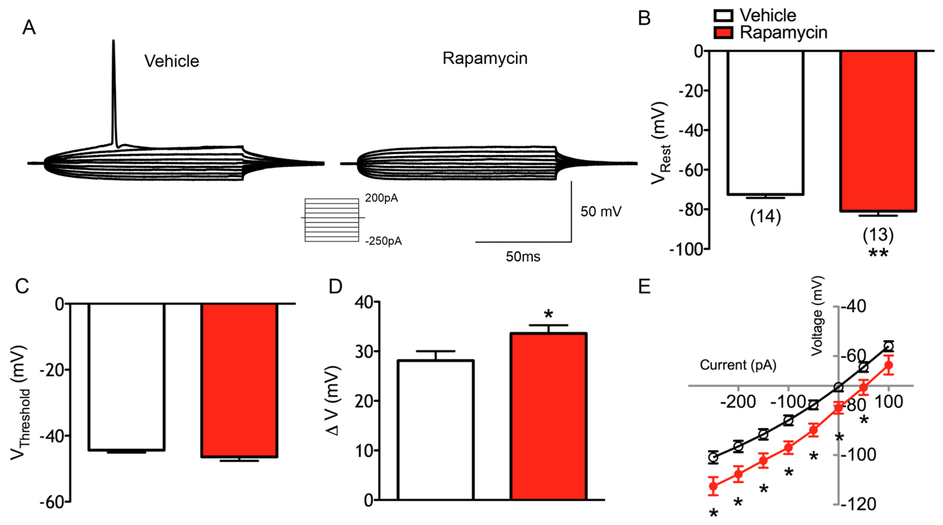 Cells 14 00079 g006 Cells 14 00079 g006