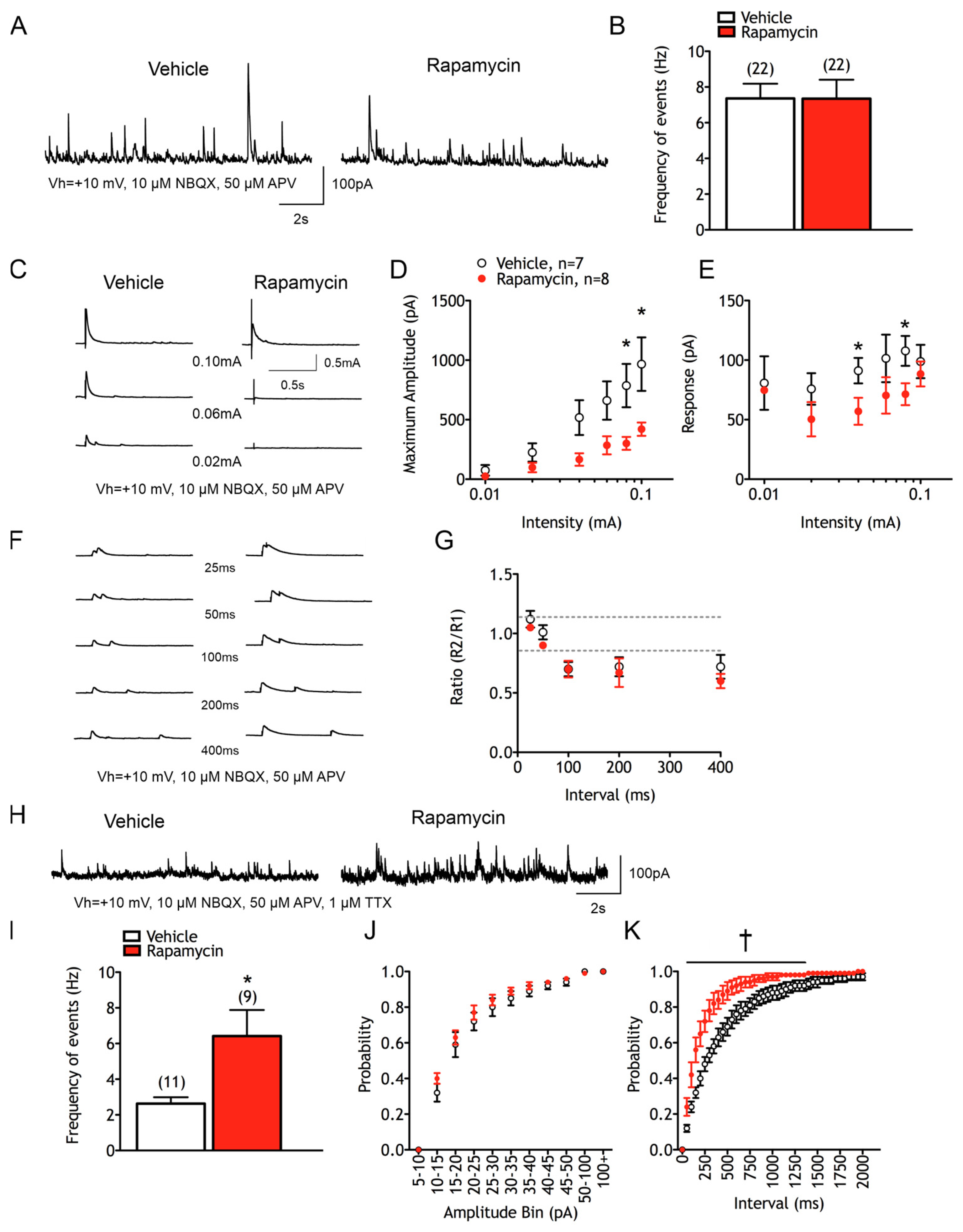 Cells 14 00079 g007 Cells 14 00079 g007