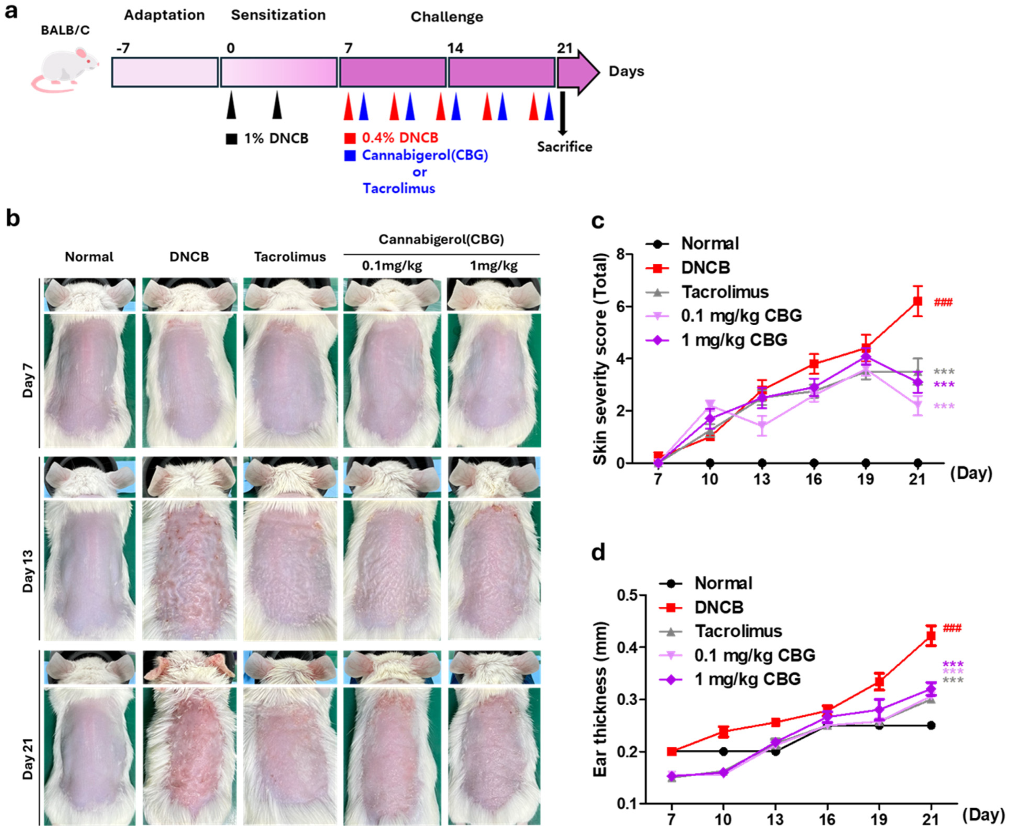 Cells 14 00083 g002 Cells 14 00083 g002