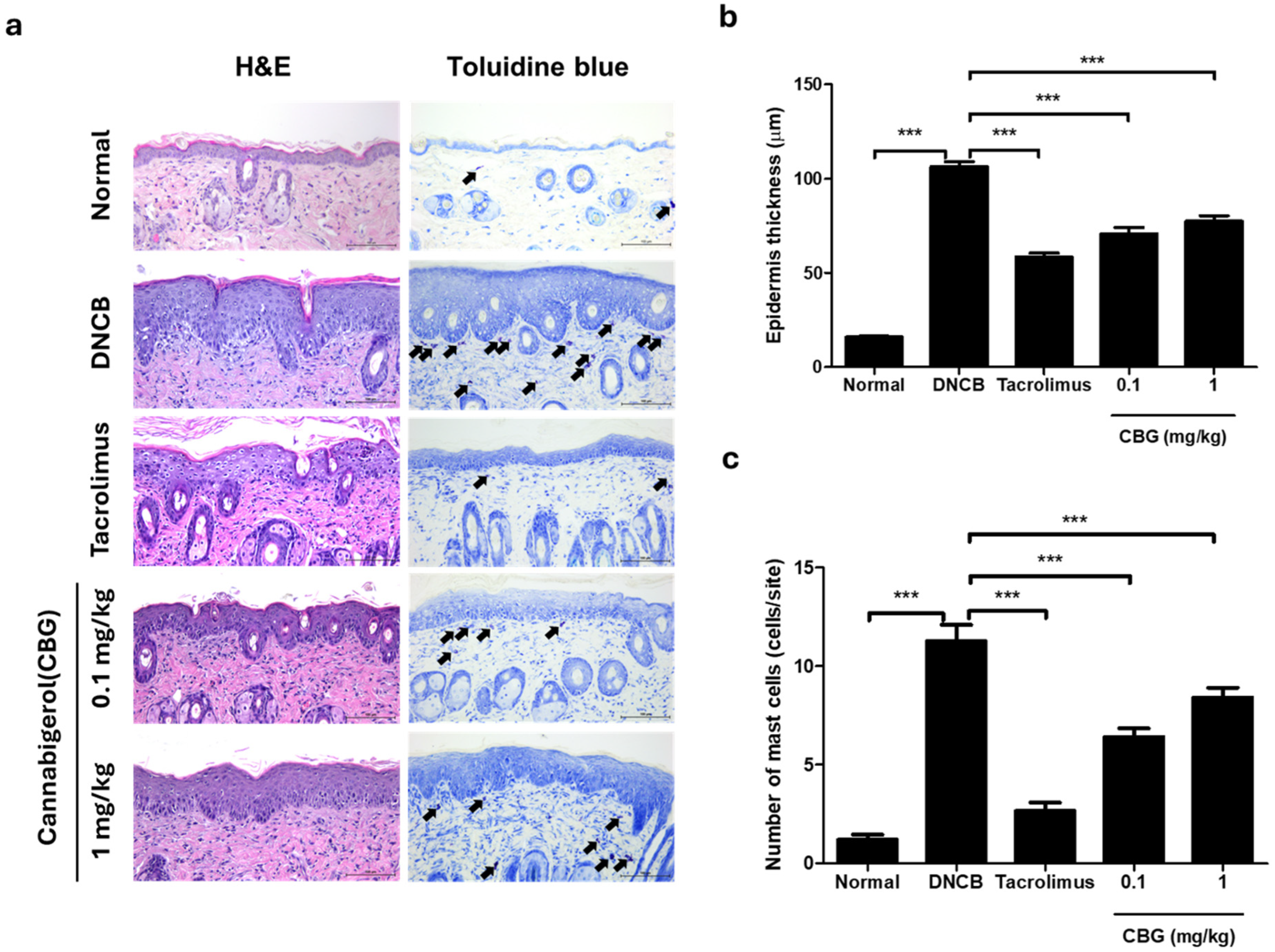 Cells 14 00083 g003 Cells 14 00083 g003