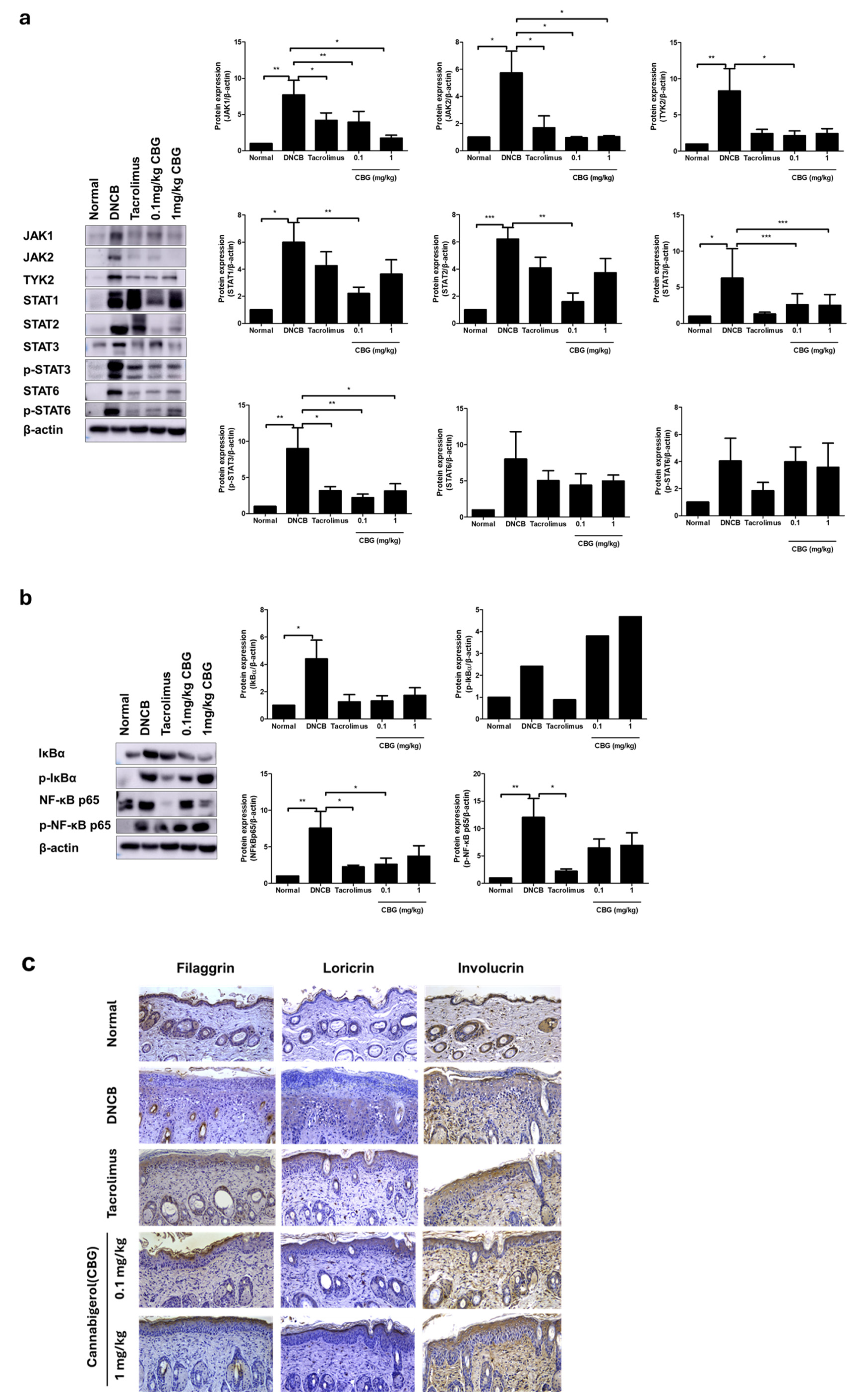 Cells 14 00083 g005 Cells 14 00083 g005