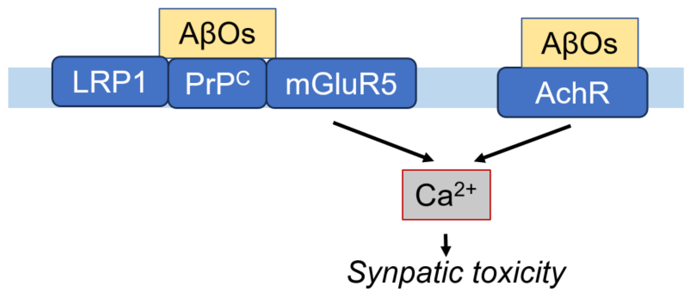 Cells 14 00089 g005 Cells 14 00089 g005