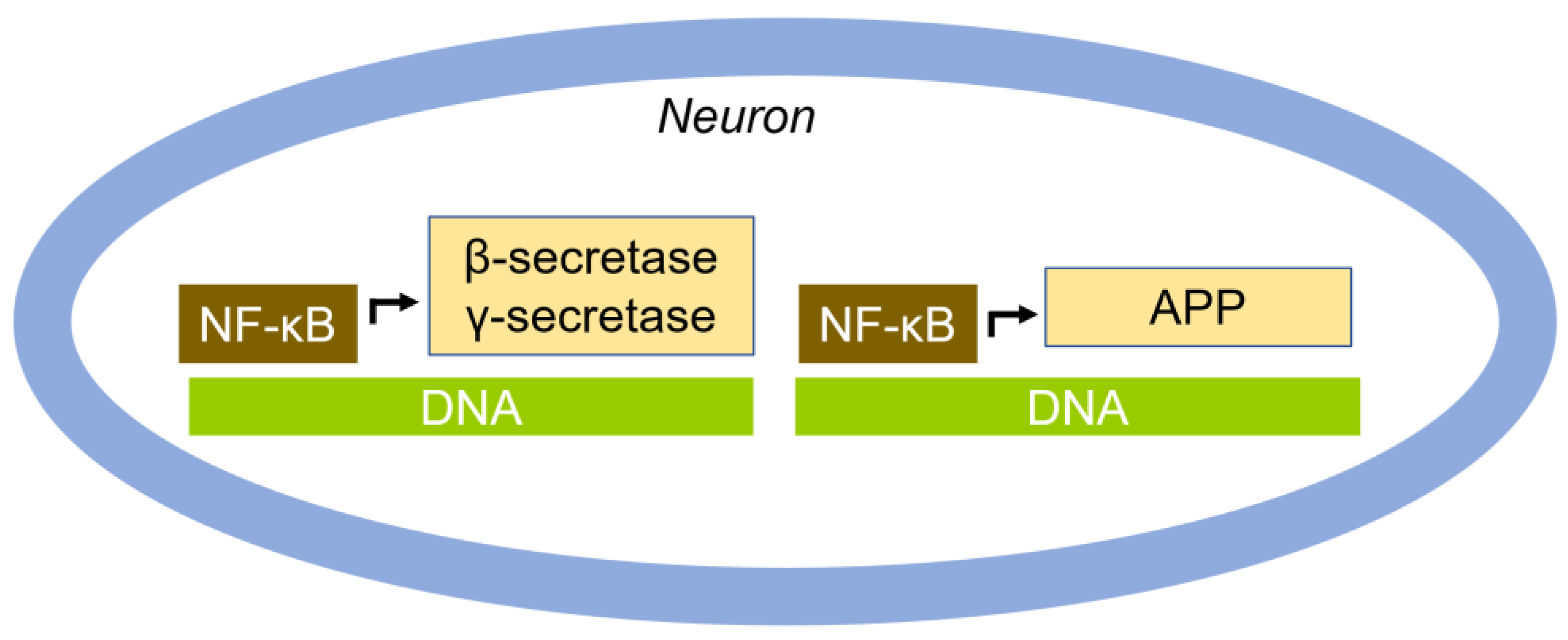 Cells 14 00089 g008 Cells 14 00089 g008